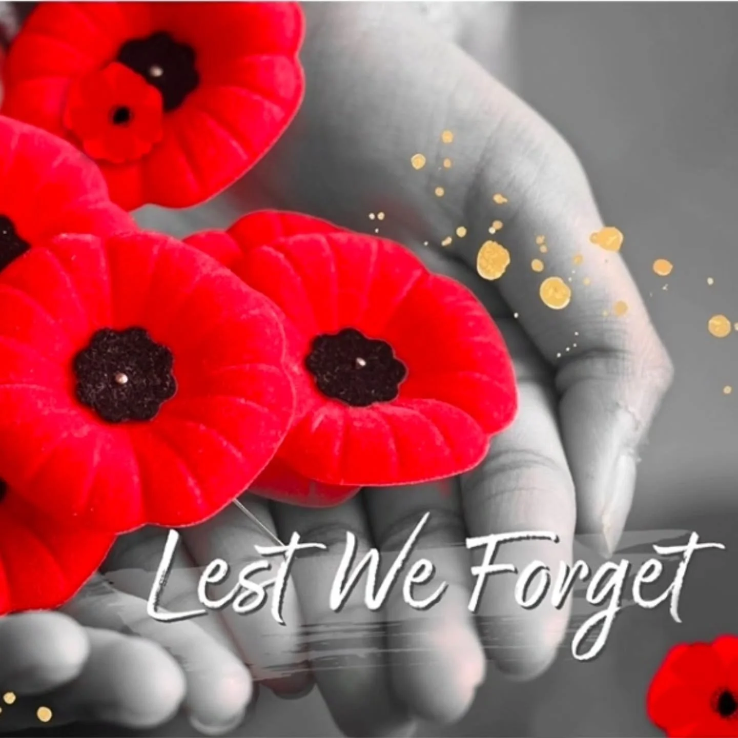 The red poppy 🌺 has become a powerful symbol of Remembrance Day &mdash; honouring those who served and reminding us of the peace we continue to strive for.

Amid the devastation of Flanders Fields, poppies were the only flowers to bloom 🌾❤️. Their 