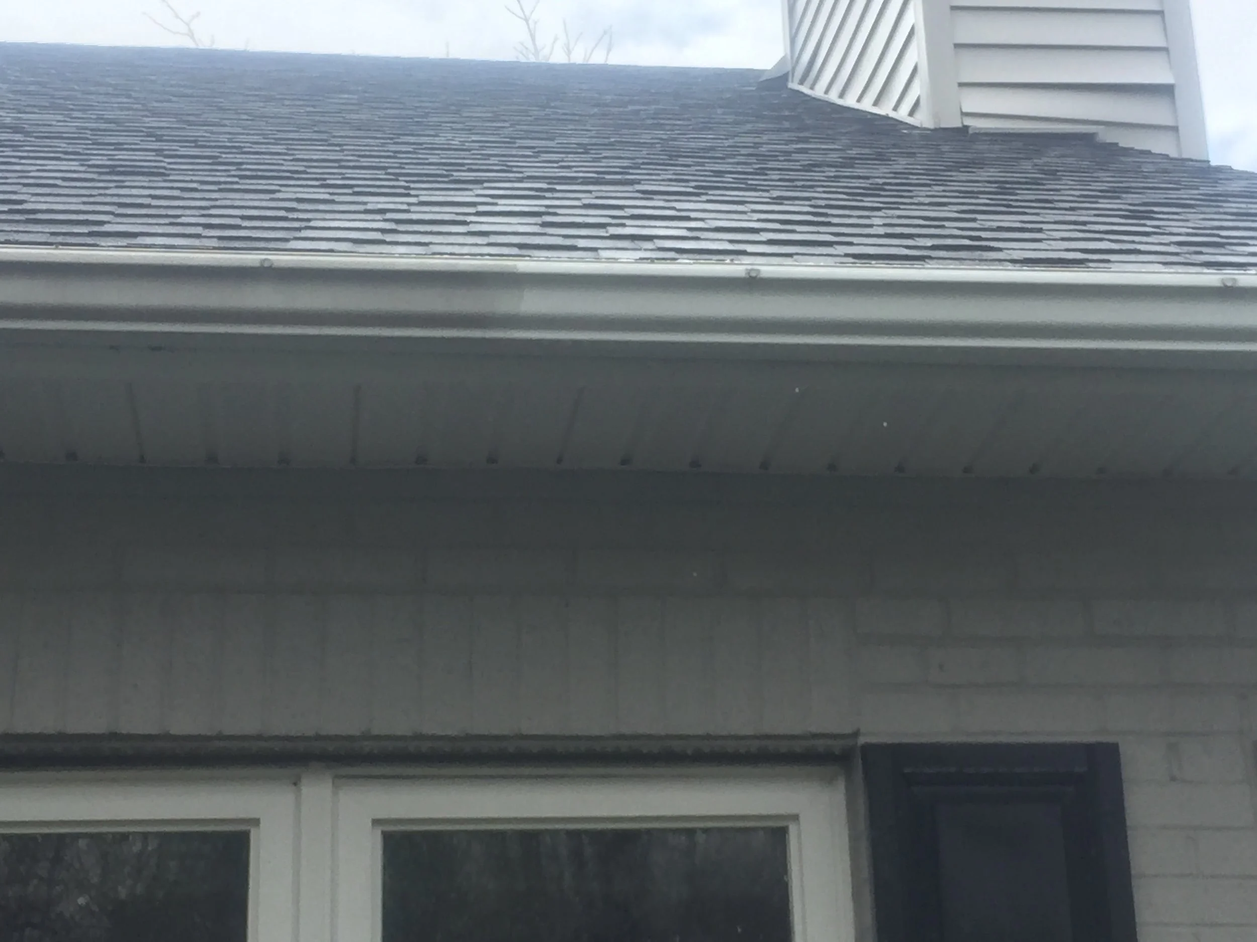 Gutter Cleaning.JPG