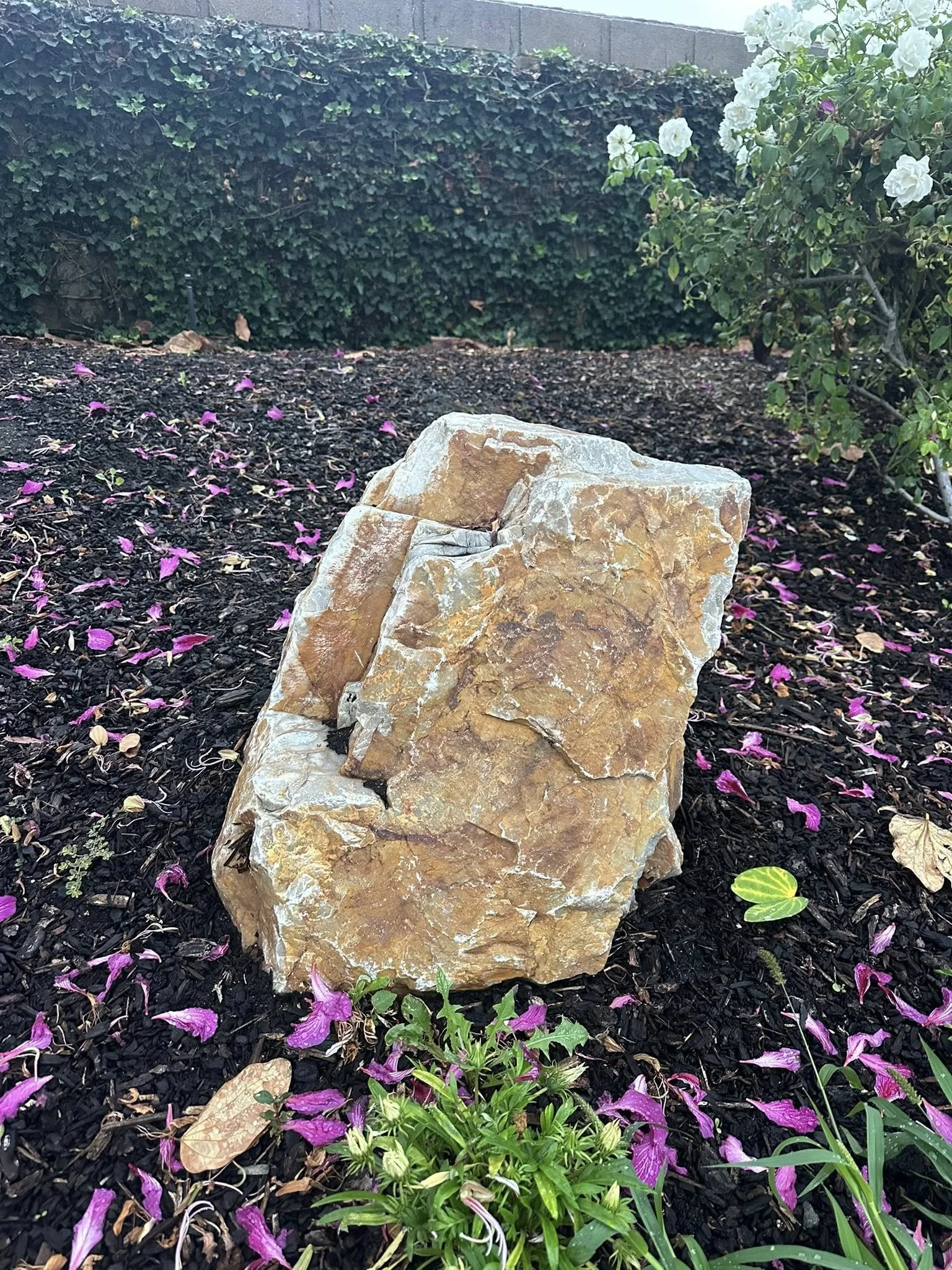 C4C and Homeless MInistry Oceanside Ca .jpg