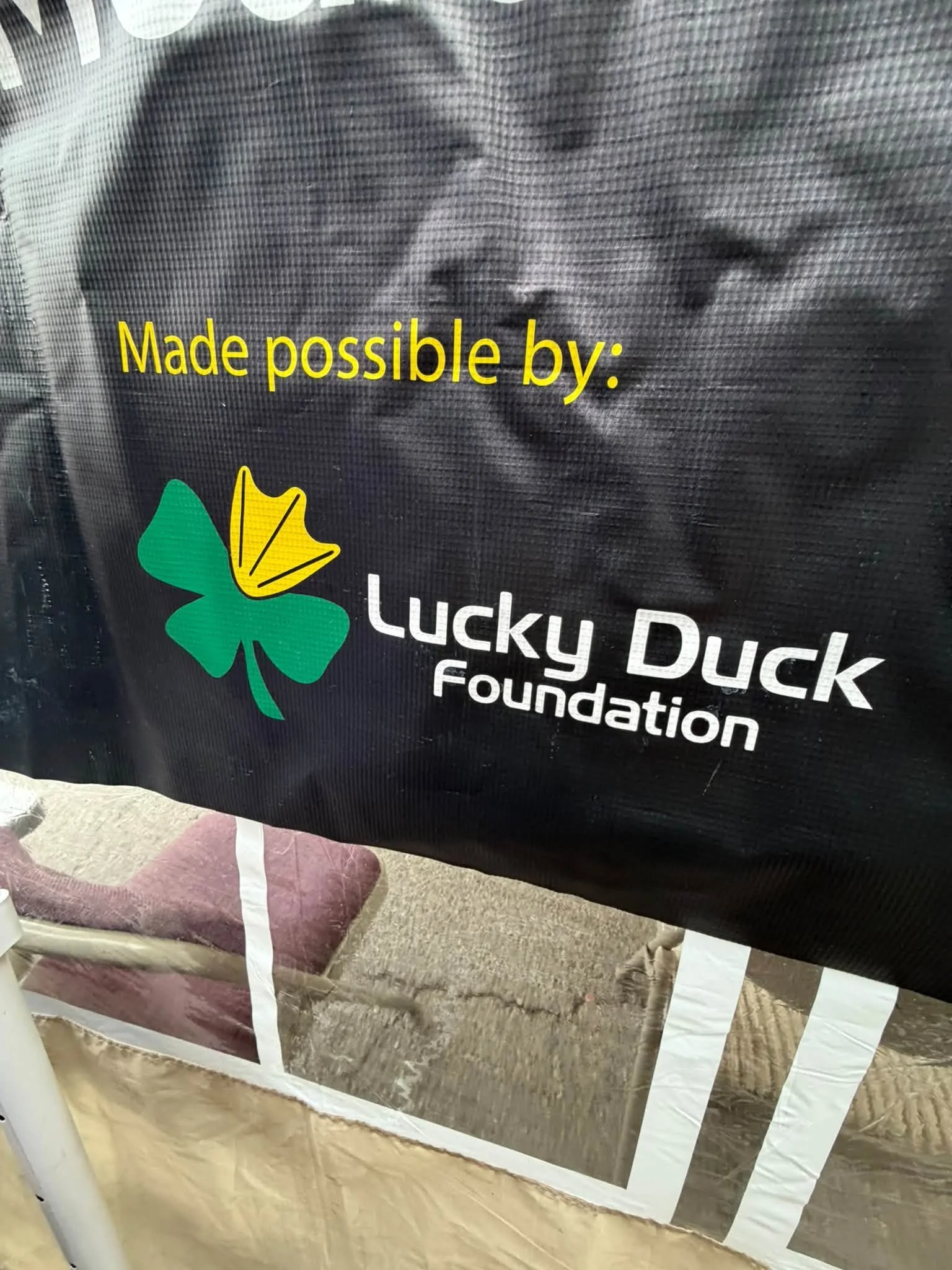Lucky Duck Foundation