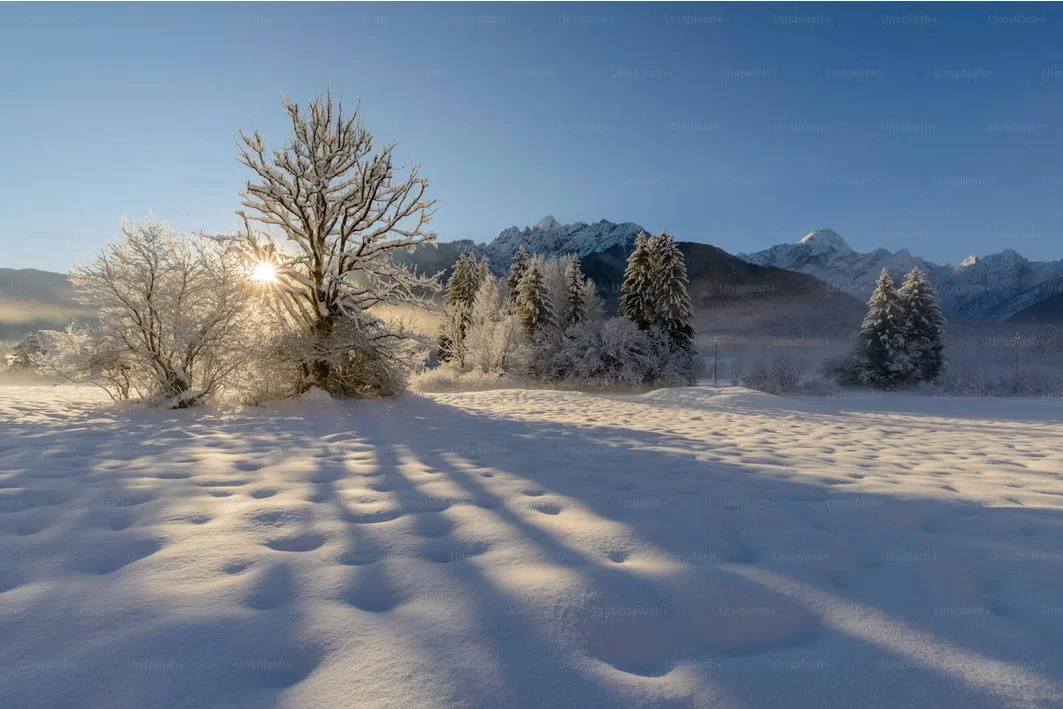 Screenshot 2025-12-31 110135.jpg