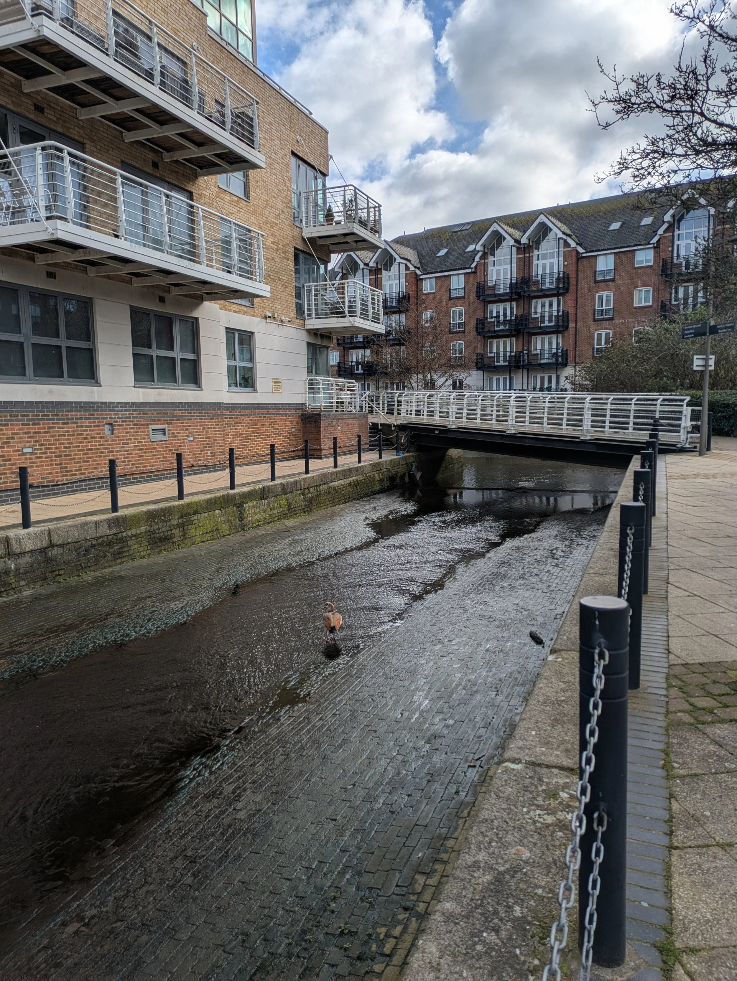 Brentford Lock area