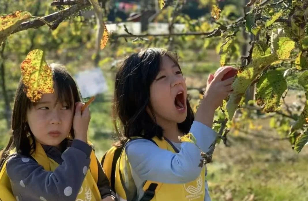 Two young girls outdoors in a vineyard or orchard, picking apples from trees; one girl is about to eat an apple, the other is holding a leaf near her head, with foliage and more trees in the background.