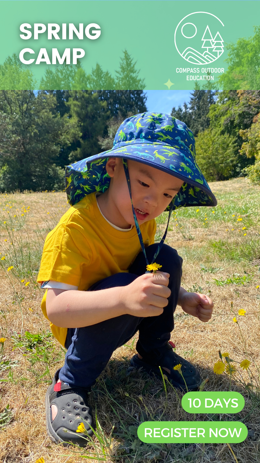 A young child in a dinosaur sun hat and yellow shirt crouching in a meadow, holding a dandelion at Compass Outdoor Education spring camp in Vancouver.