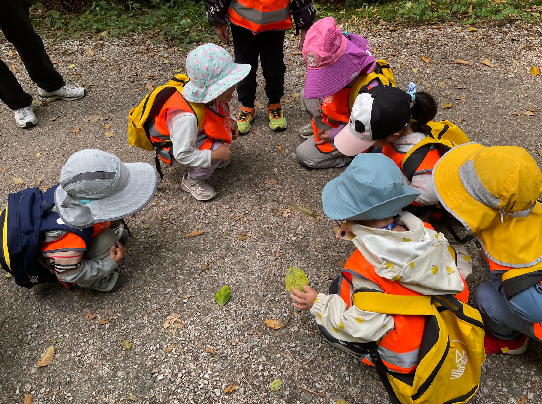 A group of young children wearing colorful hats and orange safety vests, gathered in a circle on a dirt path in a wood working together