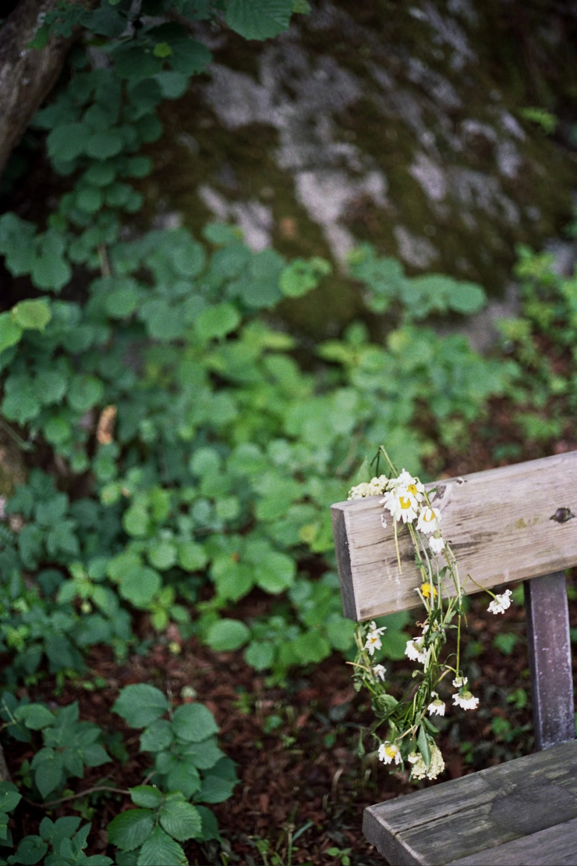 9744-__0_0287.jpg