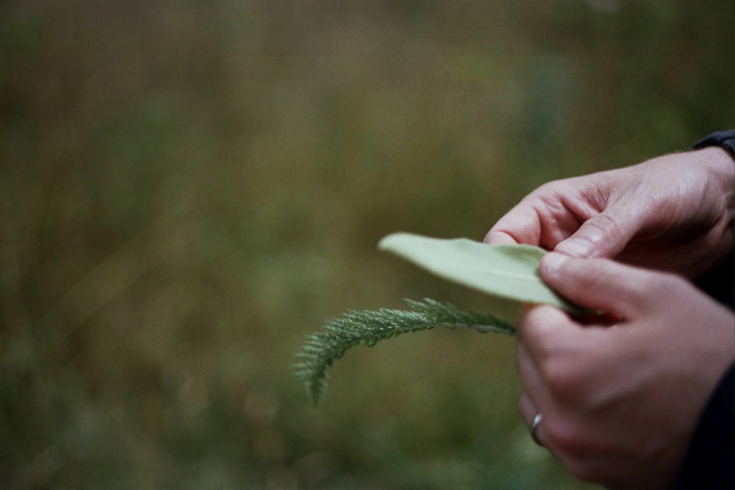 9740-__2_0137.jpg