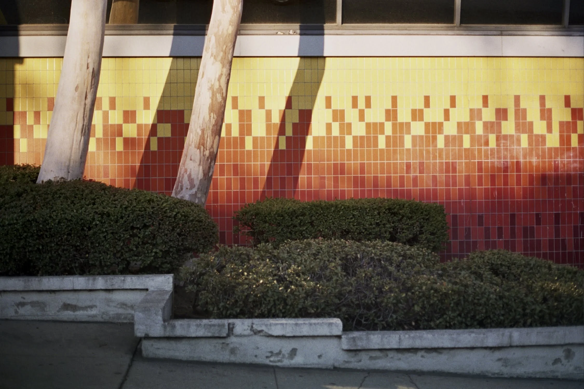 9256-34A_0384.jpg