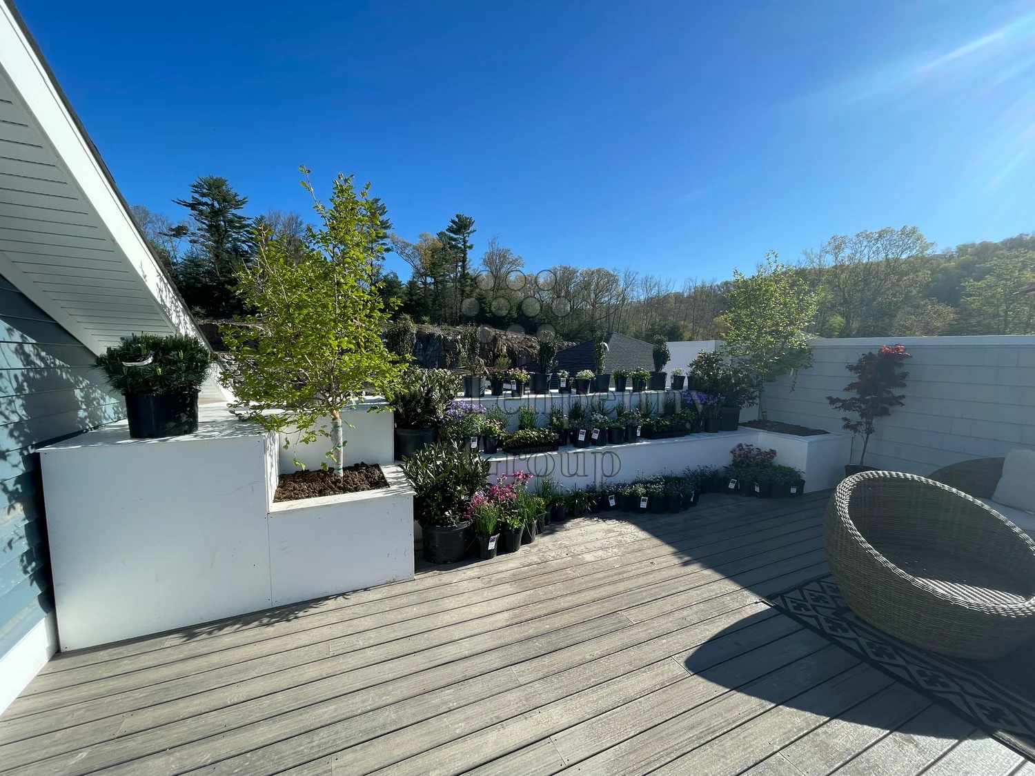 Quarry Walk (Roof) — Tenpenny Group