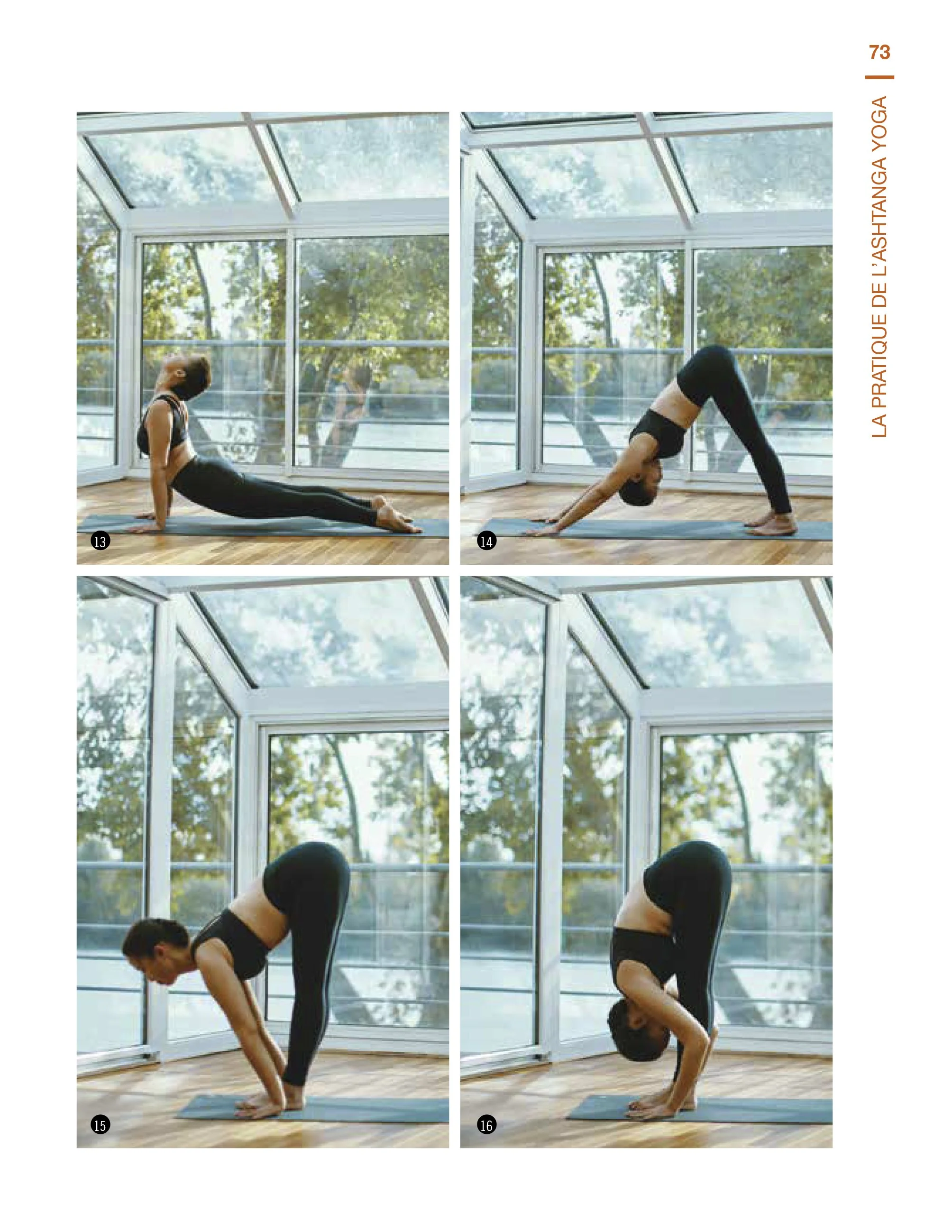 cyril lagel - mieux comprendre l ashtanga yoga-0004.jpg