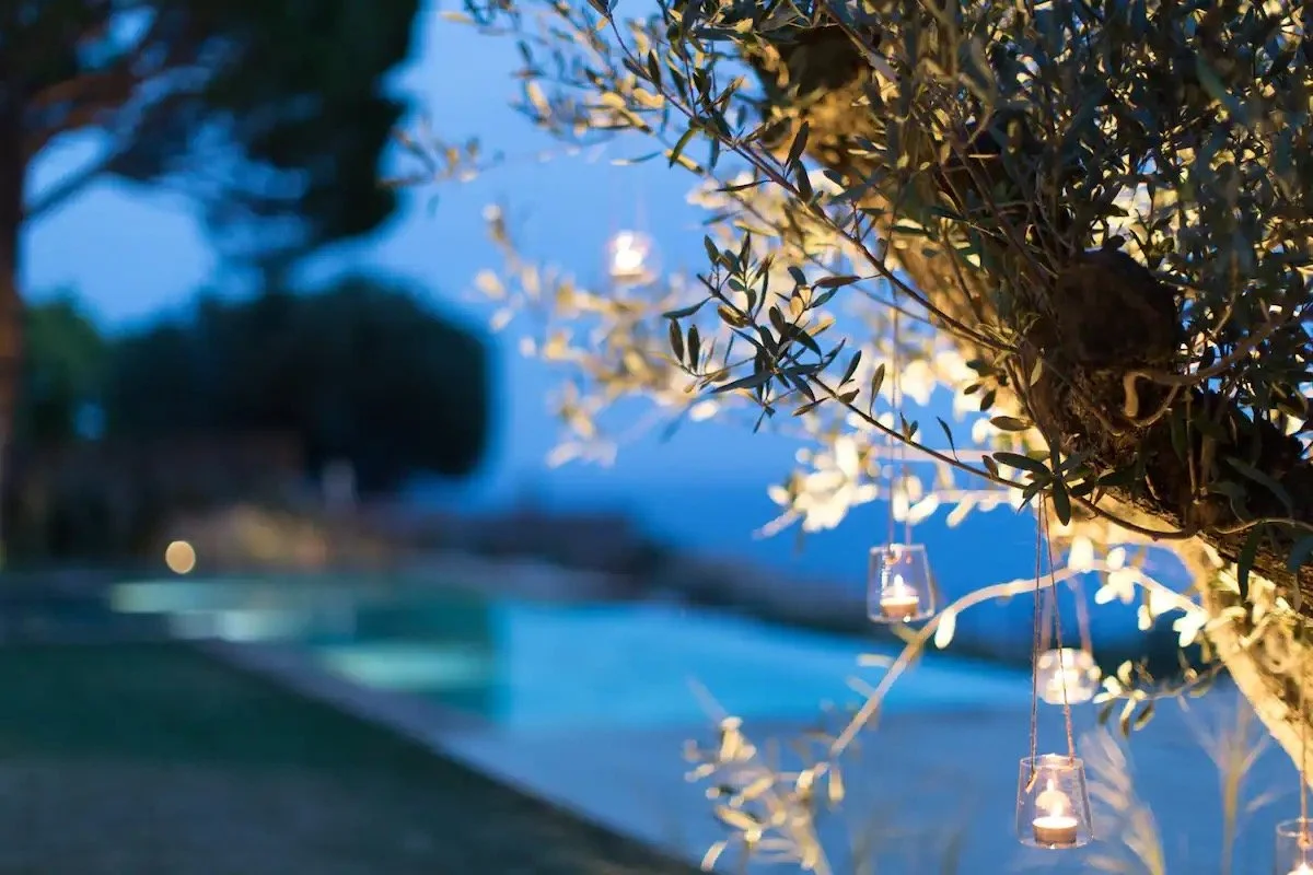 Le dessin montre une branche d'arbre illuminée par des bougies suspendues dans des petits conteneurs en plastique. En arrière-plan, il y a une piscine et un ciel crépusculaire.