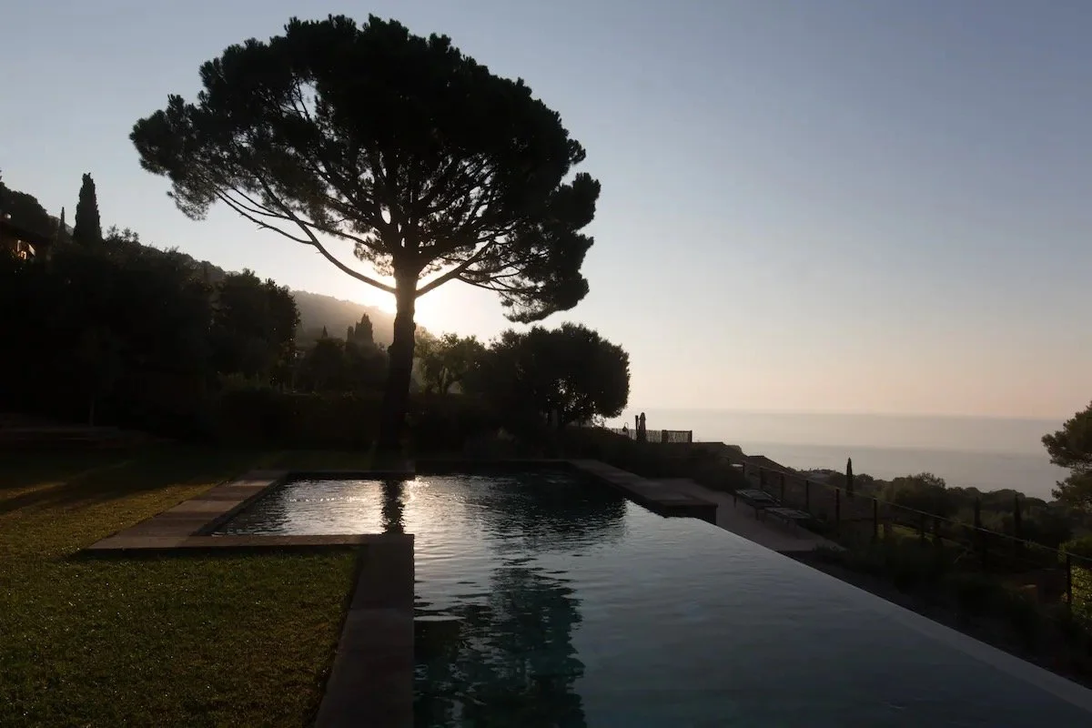 Piscine à débordement avec un arbre et vue sur la mer au coucher du soleil