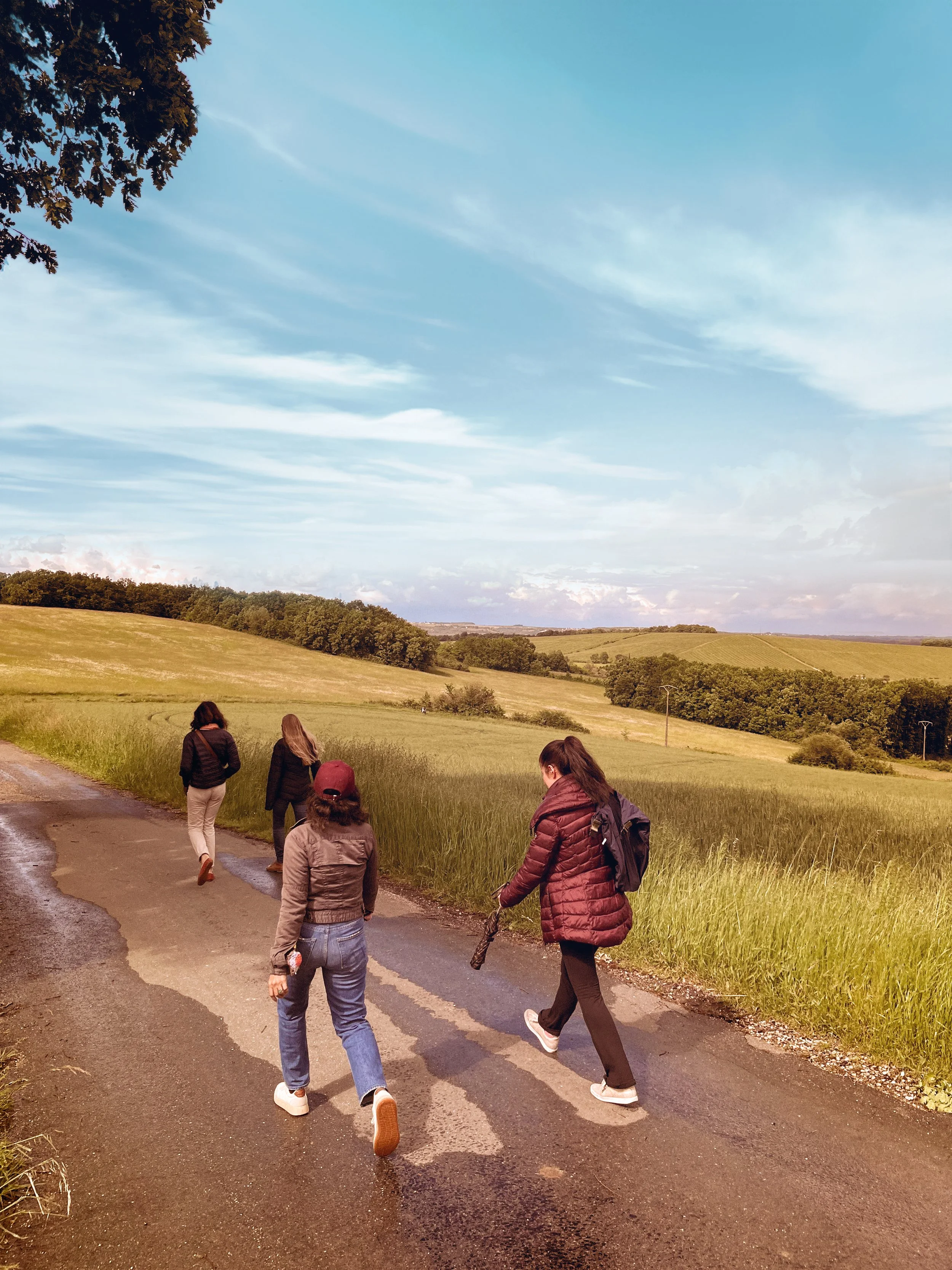 Cinq personnes marchant sur un chemin rural au milieu d'une campagne verdoyante avec des collines et un ciel bleu avec quelques nuages.