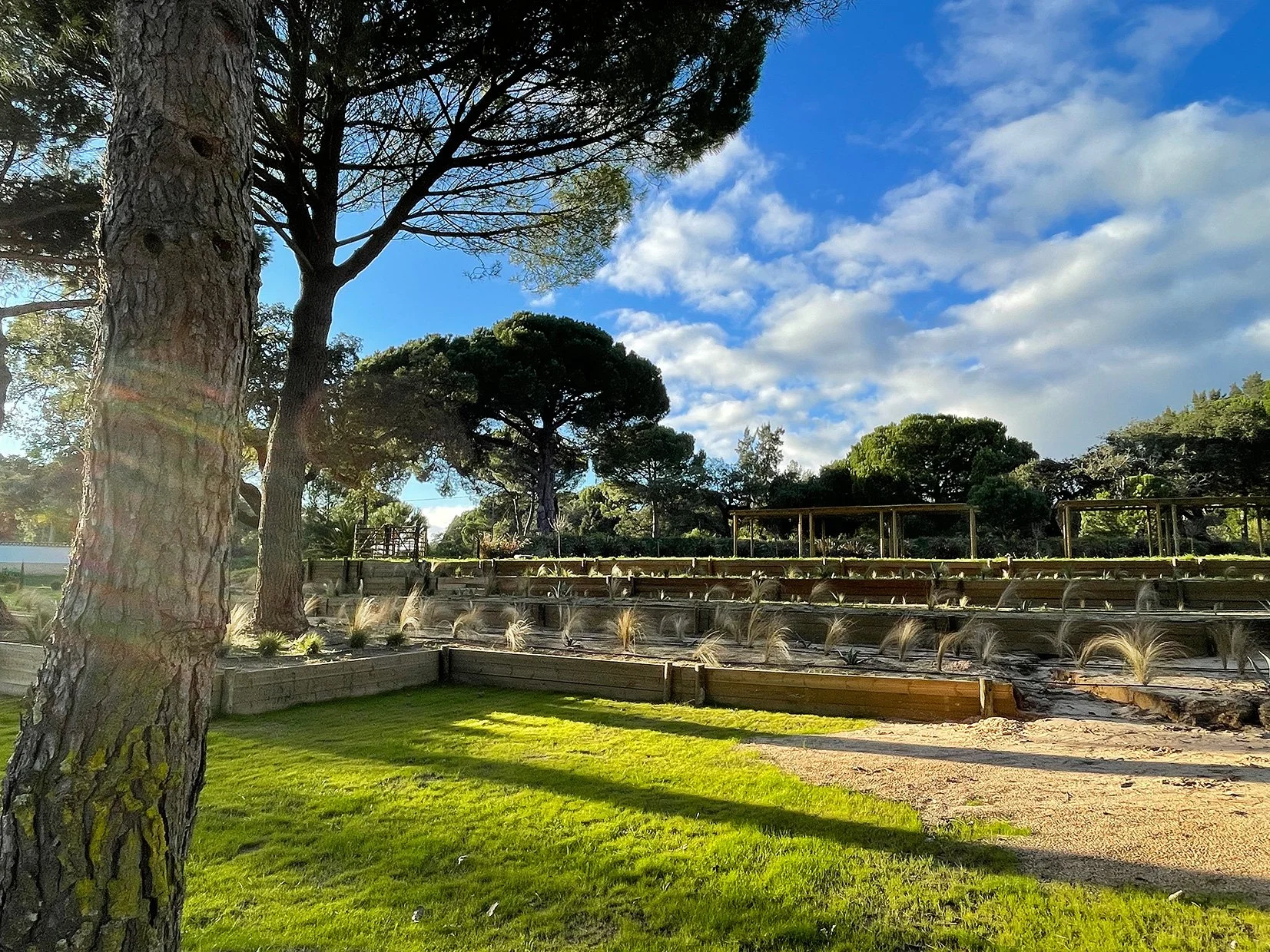 Un parc avec des pelouses vertes, des arbres et un ciel partiellement nuageux.