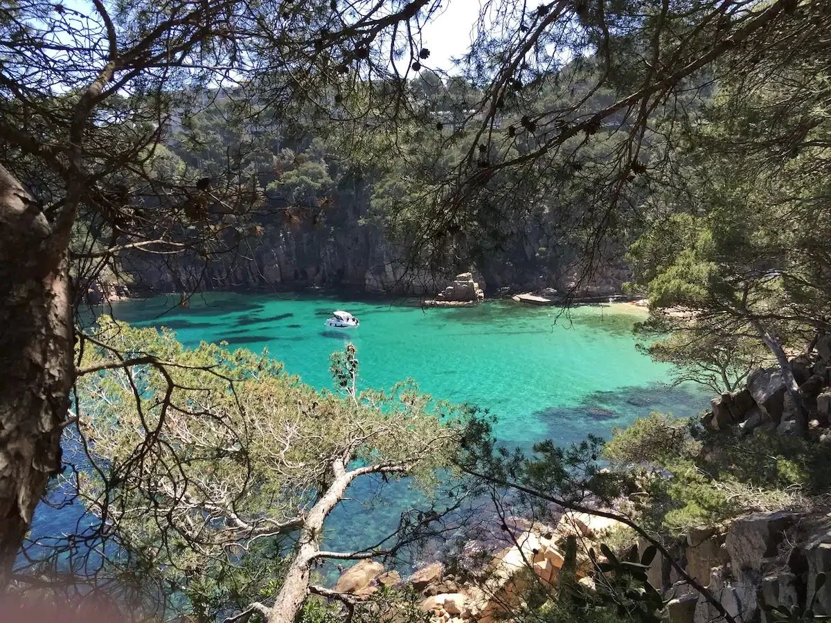 Une petite baie entourée d'arbres au feuillage vert, avec de l'eau turquoise, en arrière-plan des falaises rocheuses et un bateau flottant sur l'eau.