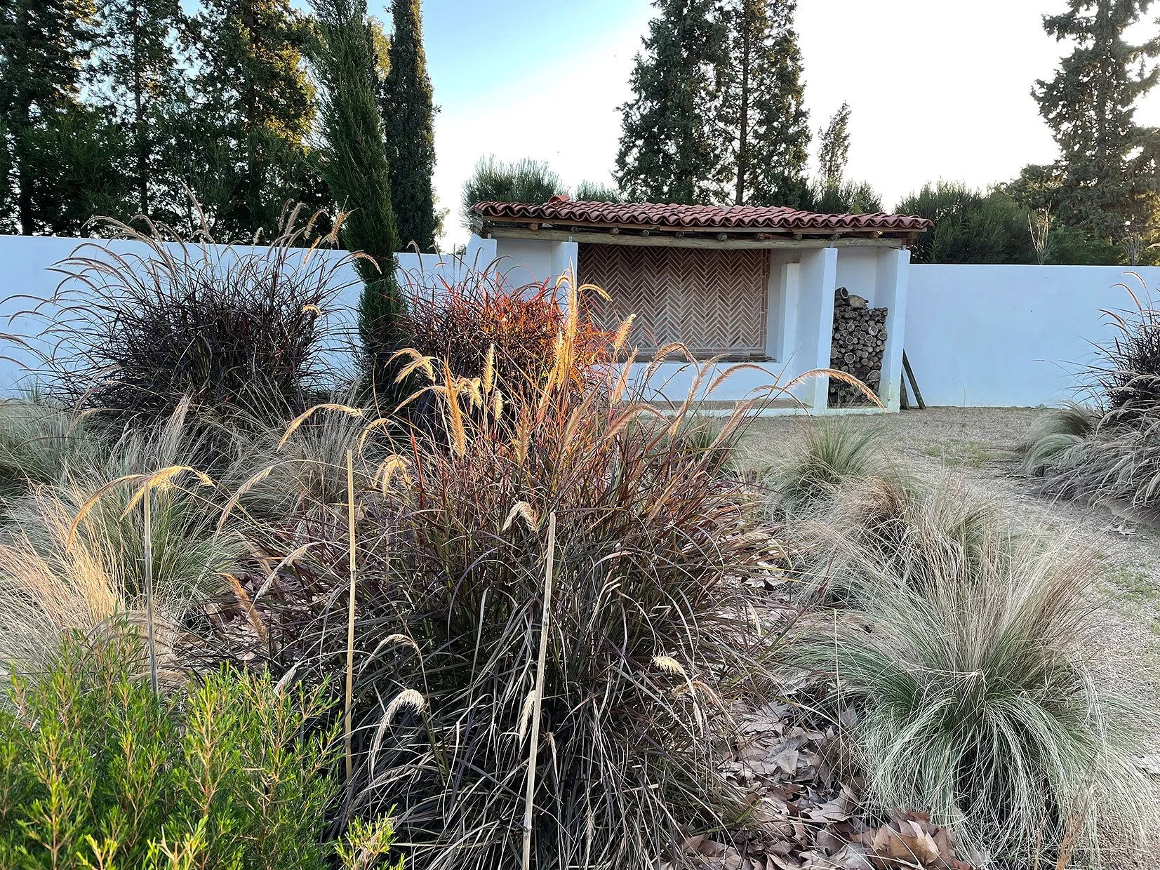 Jardin avec diverses plantes ornementales, un mur blanc, une petite structure avec un toit en tuiles et un rangement pour du bois, entouré d'arbres en arrière-plan.