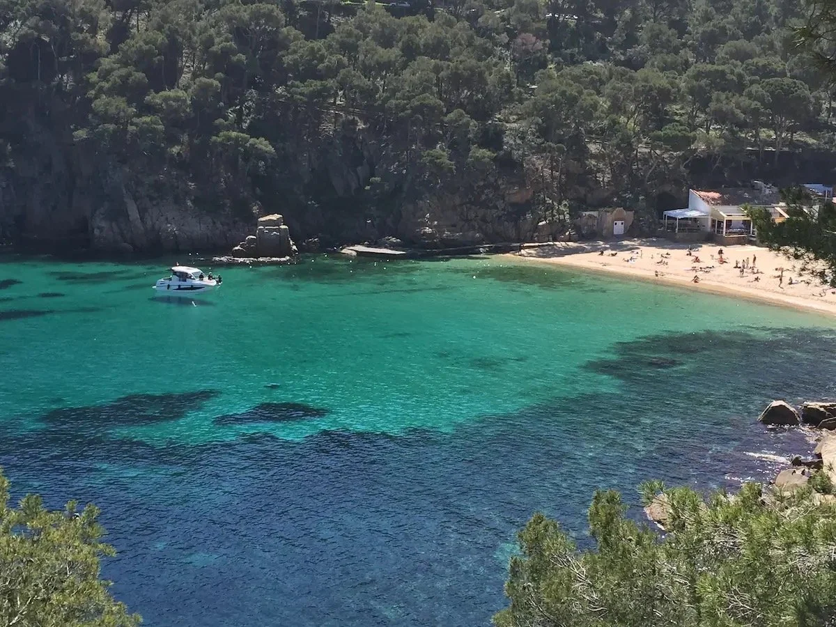 Plage entourée de falaises et d'arbres, avec une mer turquoise, un bateau, des parasols et des personnes profitant du soleil.