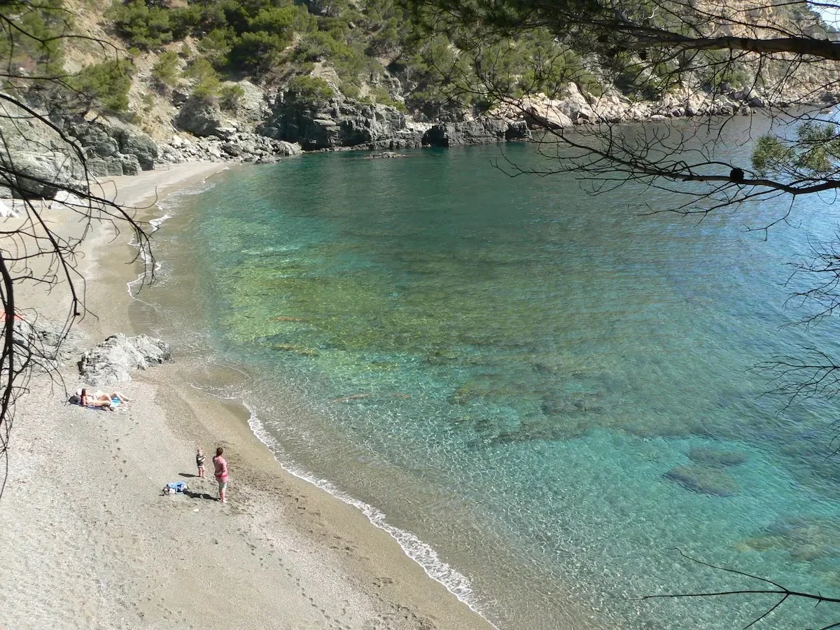 Plage rocheuse avec des eaux turquoise, arbres en arrière-plan, quelques personnes se reposant sur le sable.