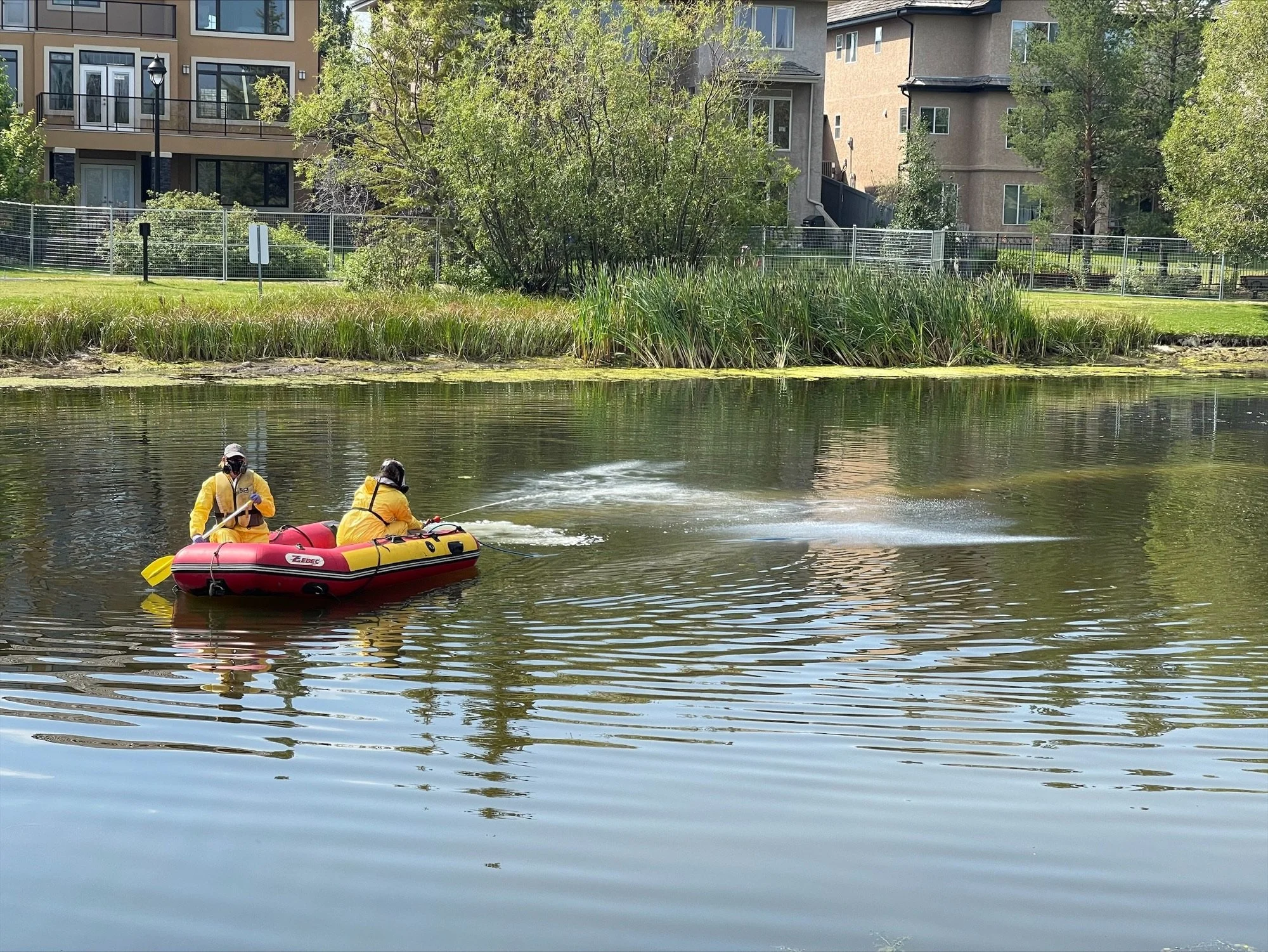 Effective Aquatic Pest Control Solutions Safeguard Your Waterways