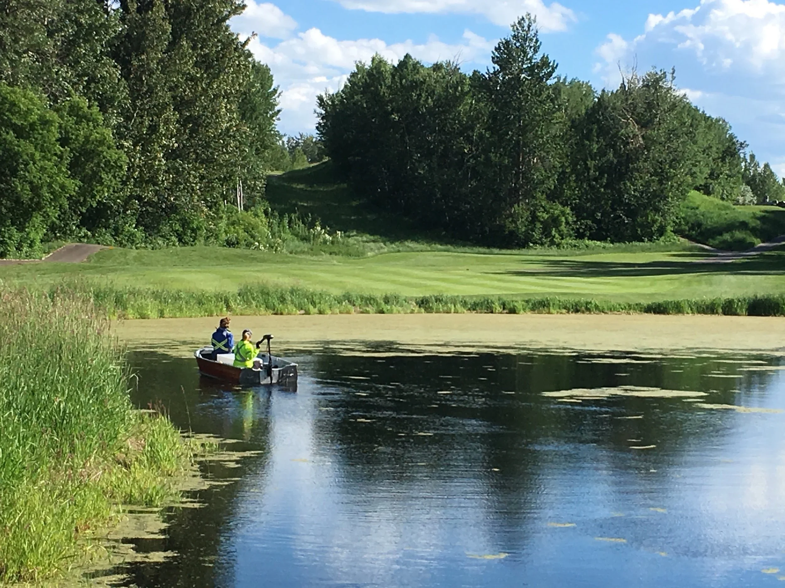 Effective Aquatic Pest Control Solutions Safeguard Your Waterways