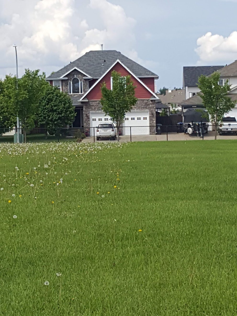 treated and untreated turf after vegetation management