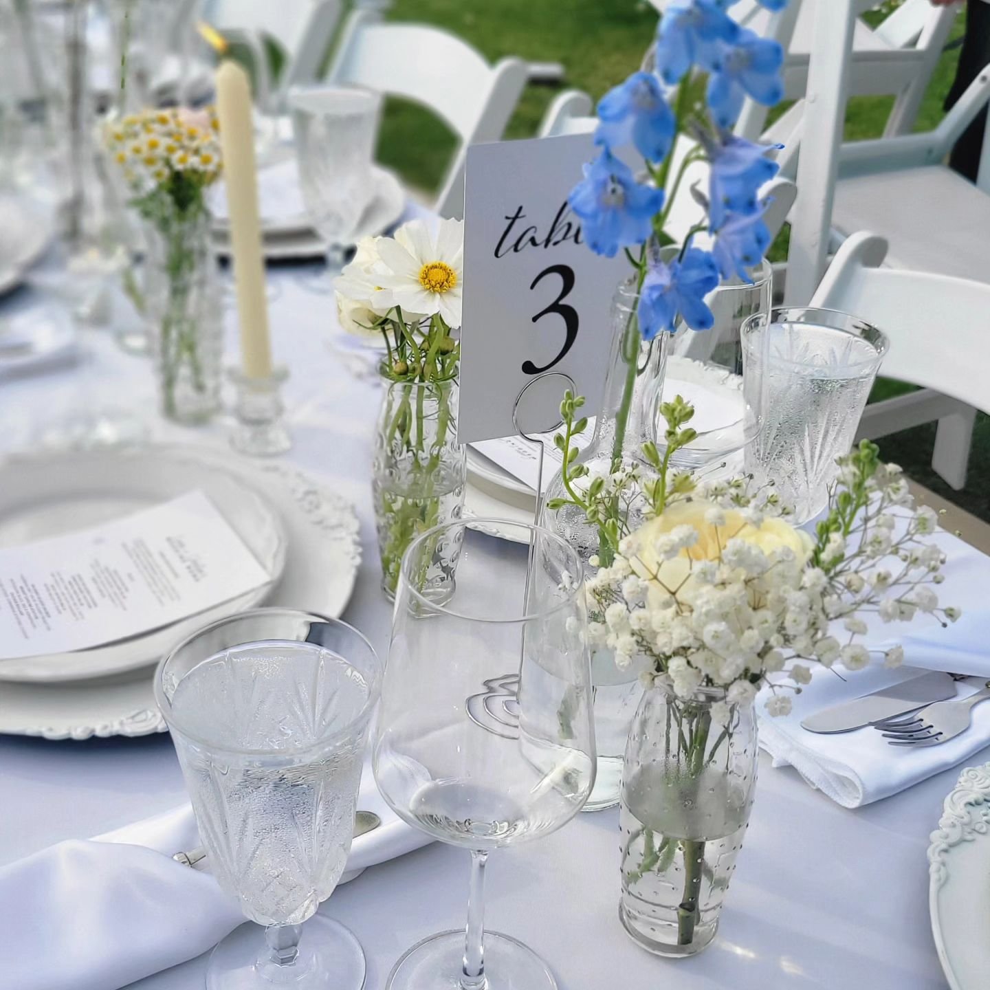 Always Table #3 It's a sister thing, Just like a fun diplay of mixed budvases, such a strong statement together, yet so unique and lovely on their own. #SoMuchStyle #Budvase #Wedding #Spring #BackyardParty #BackyardWedding #RainyDiane #PassionAndWeed