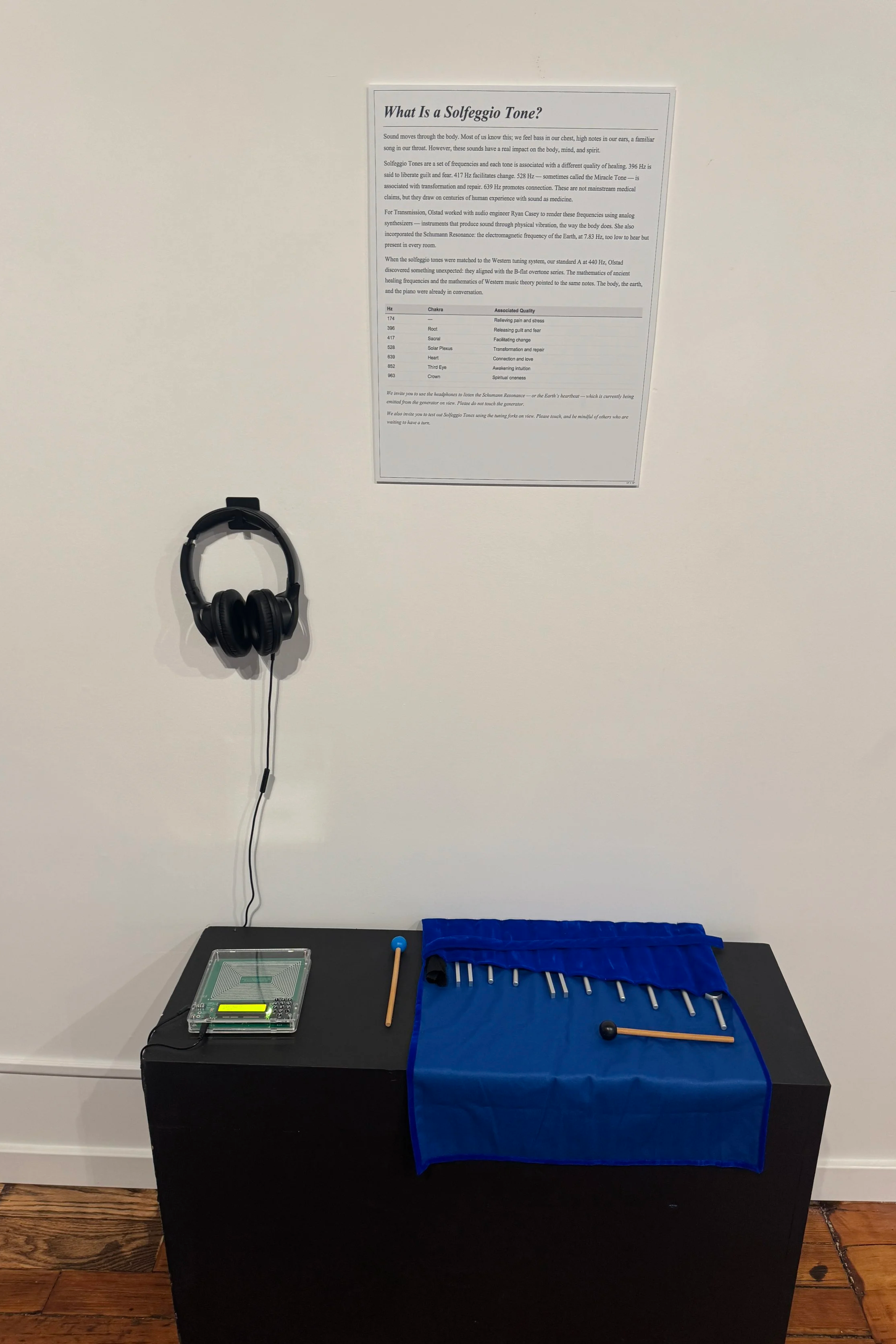 Installation at the Music For Healing exhibit