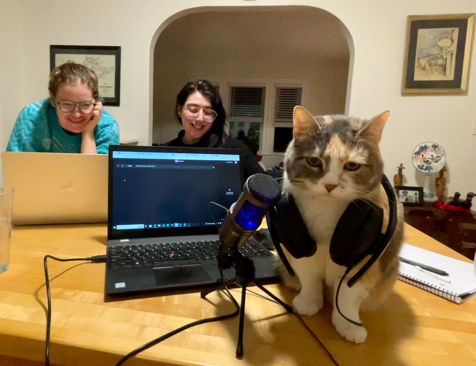 Screenshot 2023-07-18 at 12.16.24 PM.jpg