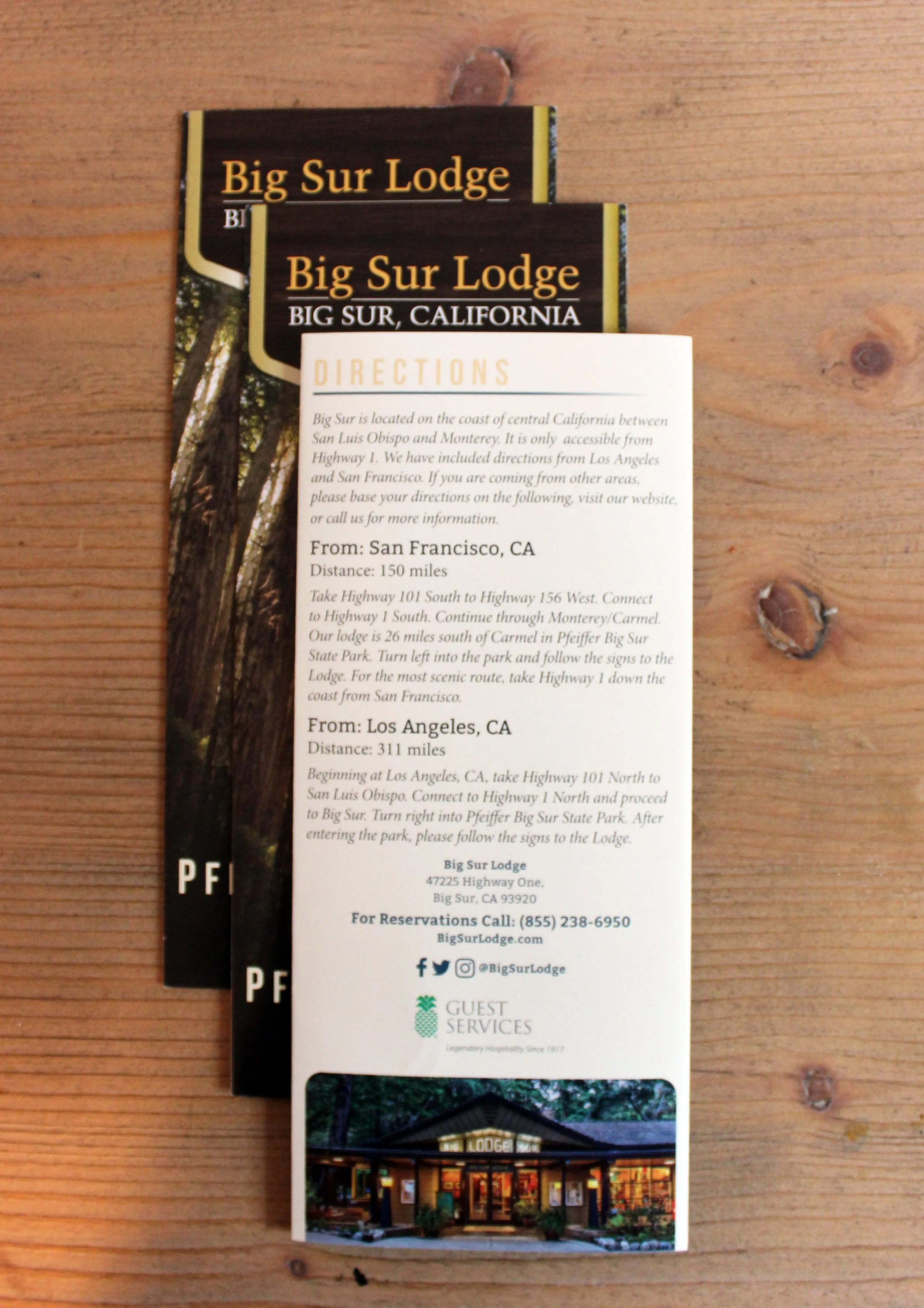 brochure3.jpg