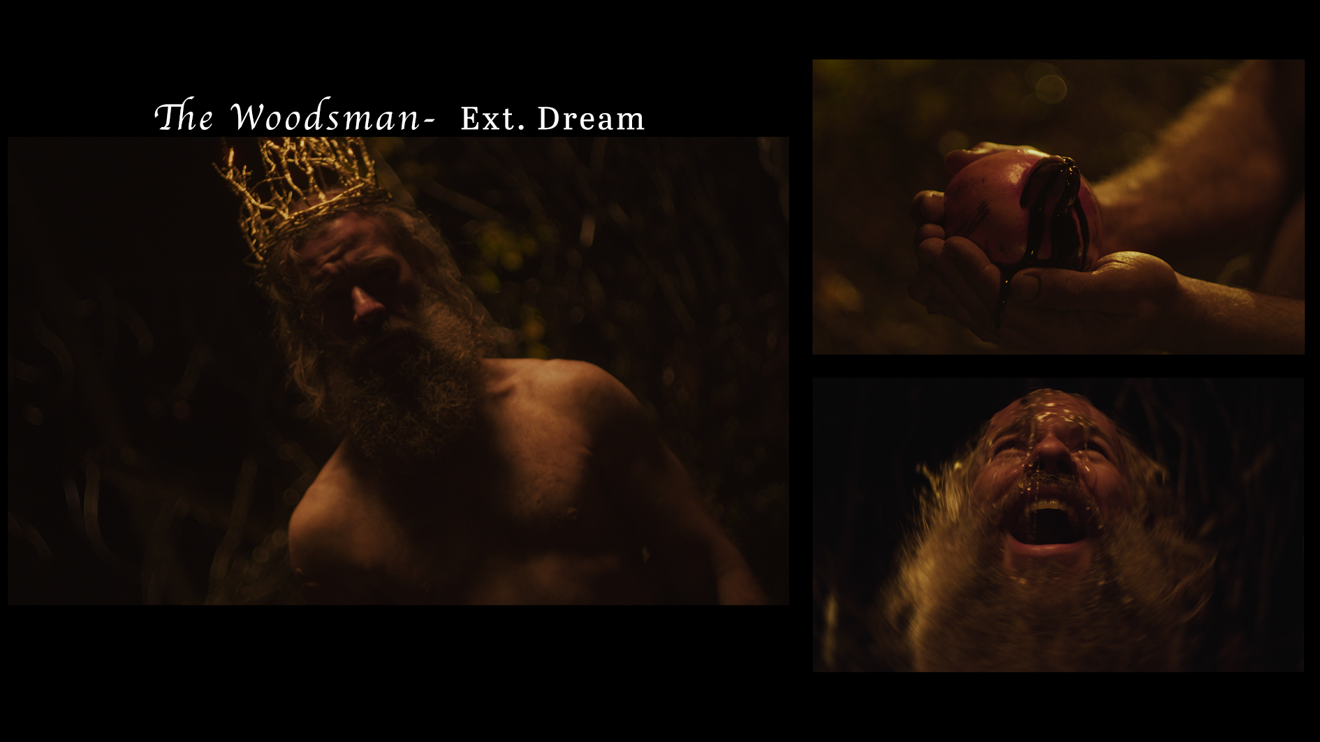 Woodsman_dream.png