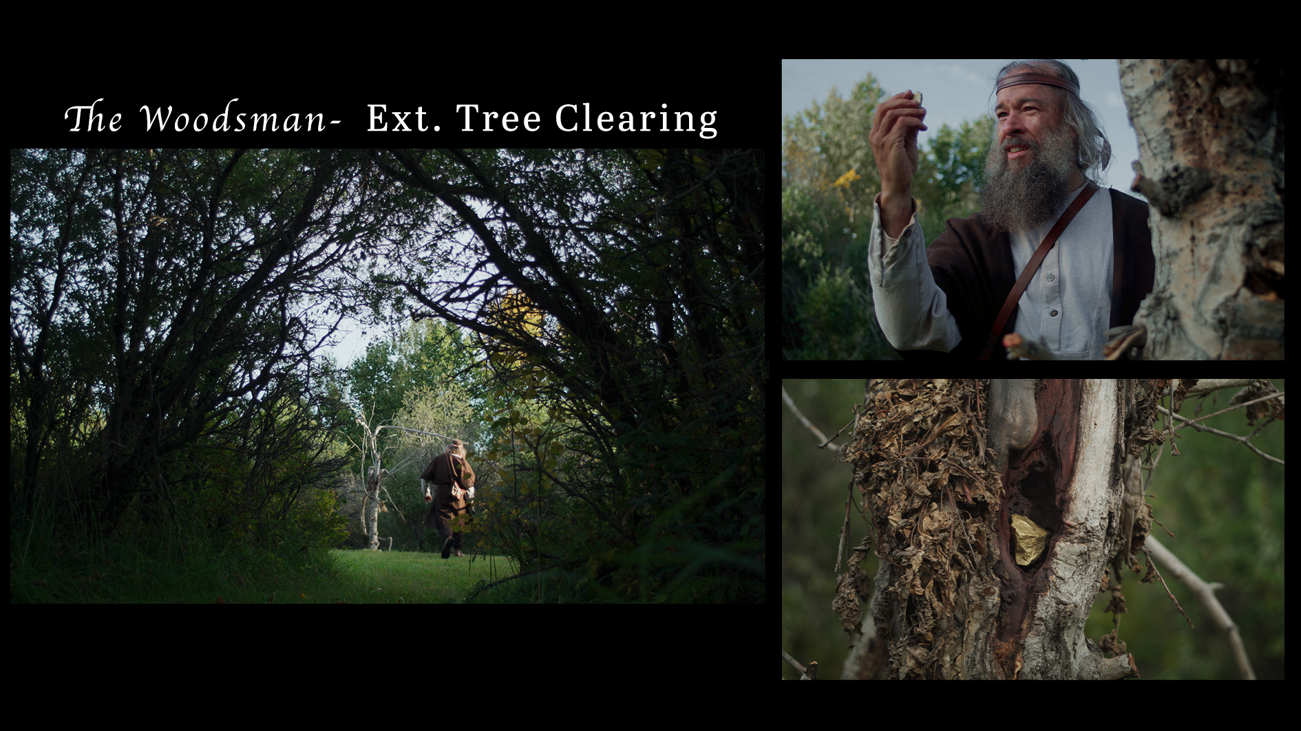 Woodsman_treeclearing.png