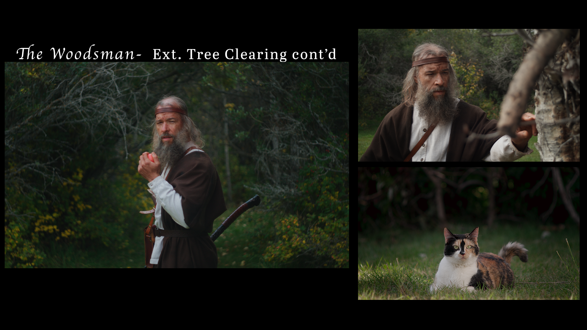 Woodsman_treeclearingcontd.png