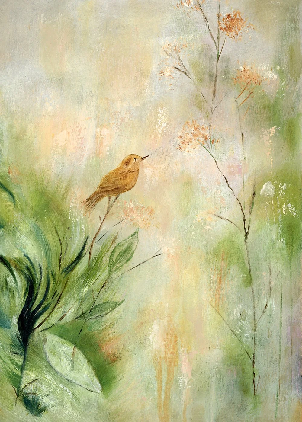 Softening