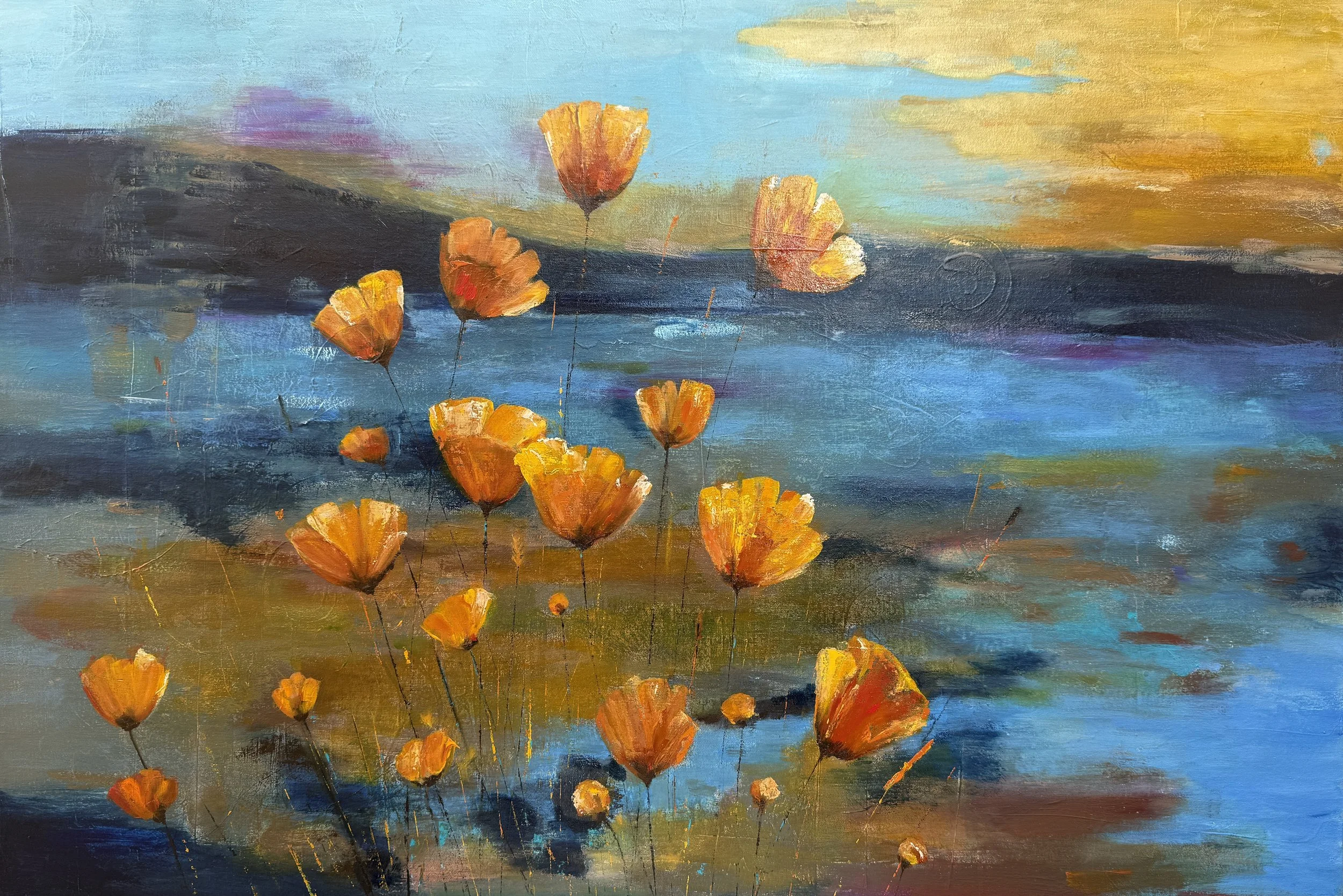 Dreaming of Poppies in California.jpg