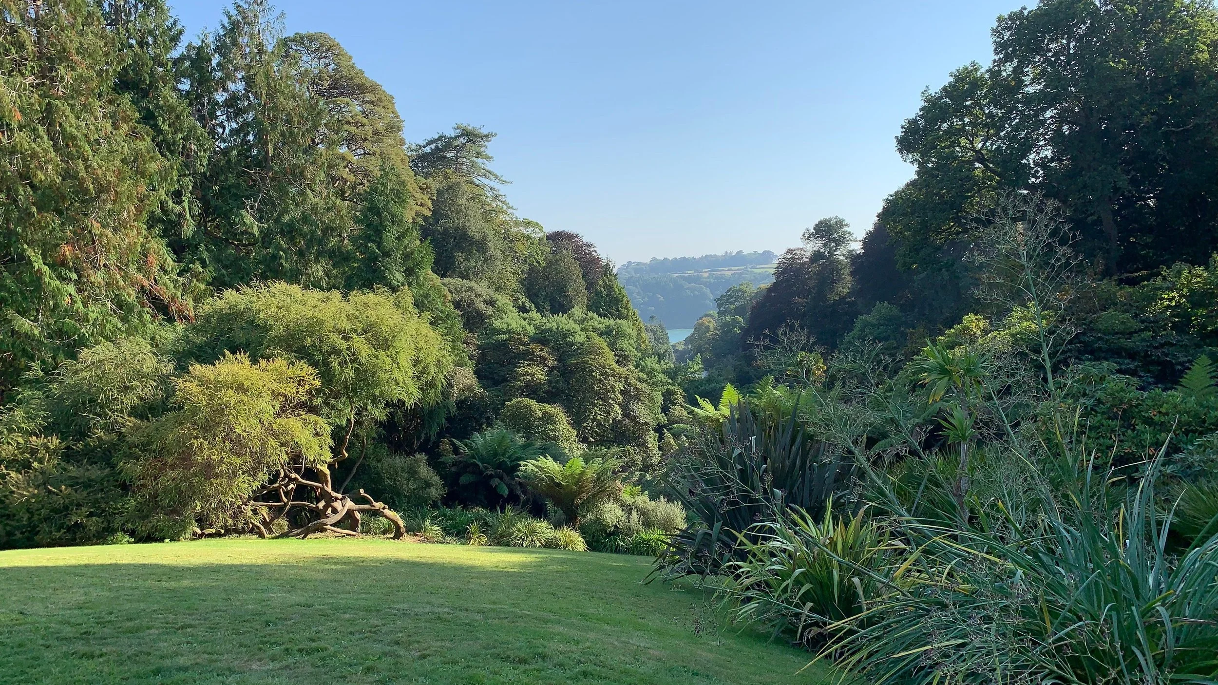 Gerald's last chance. A flash story.