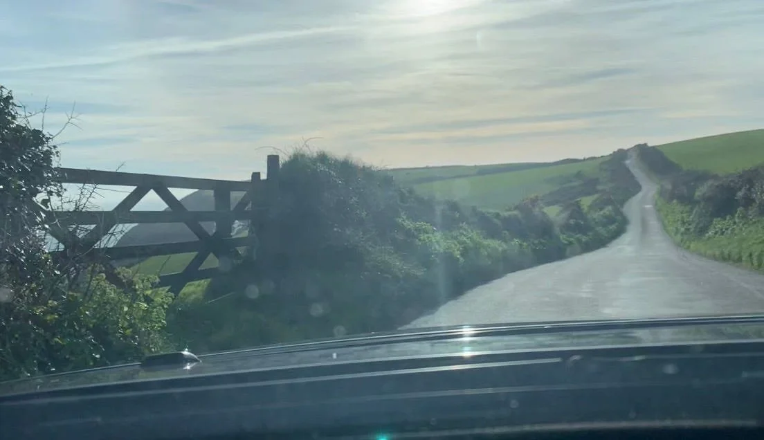 Antique/Barbers/Tsunami.