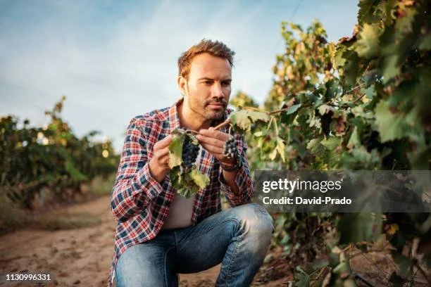 gettyimages-1130996331-612x612.jpg