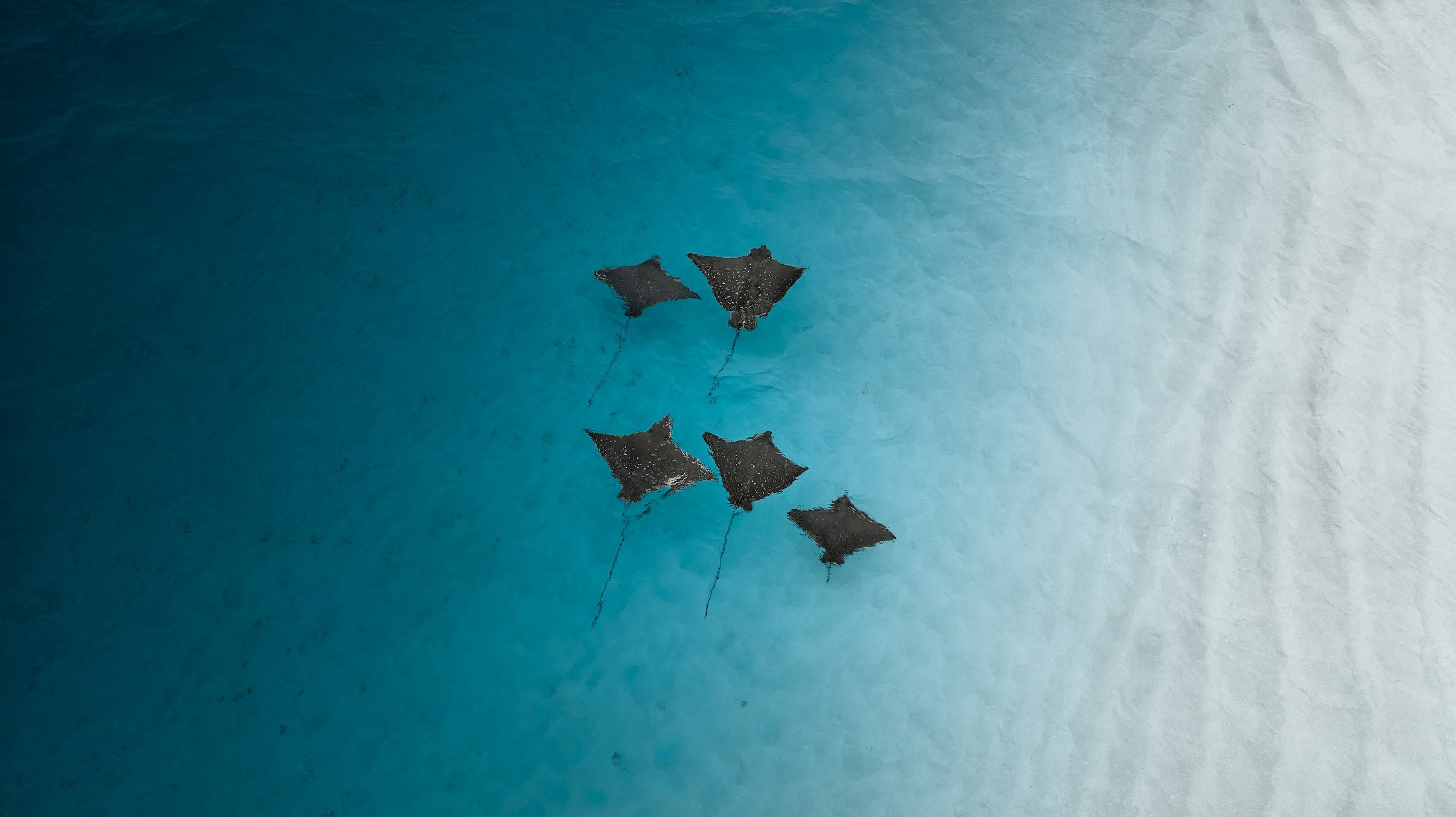 unsplash-image-bZtwid0NqOw.jpg