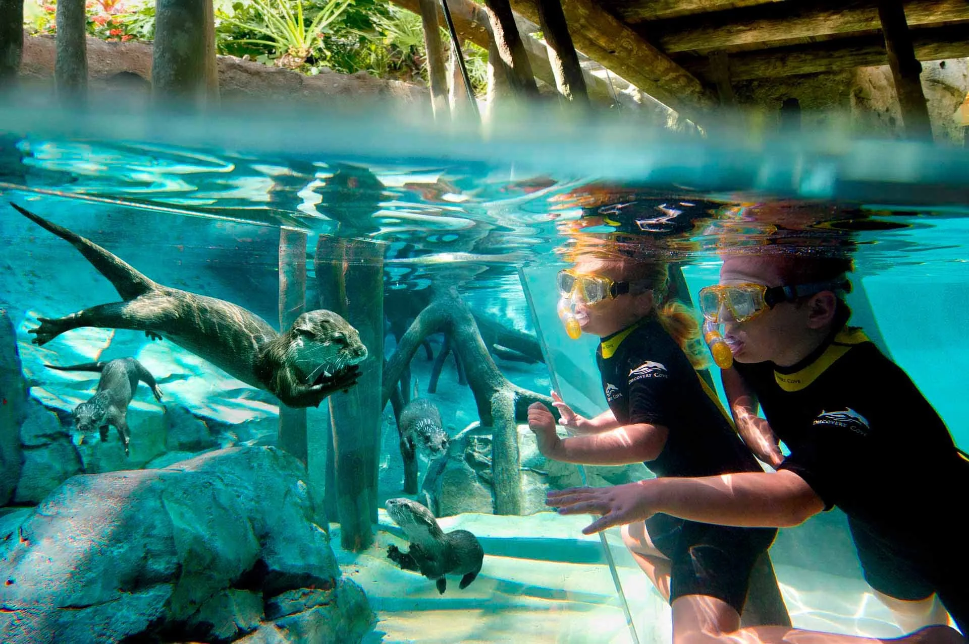 discovery-cove-freshwater-oasis (2).jpg