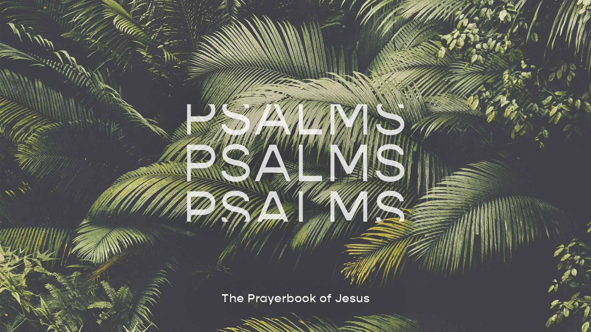 Psalms: Tools for Prayer “Praying Through Frustration” - Andrew Franklin