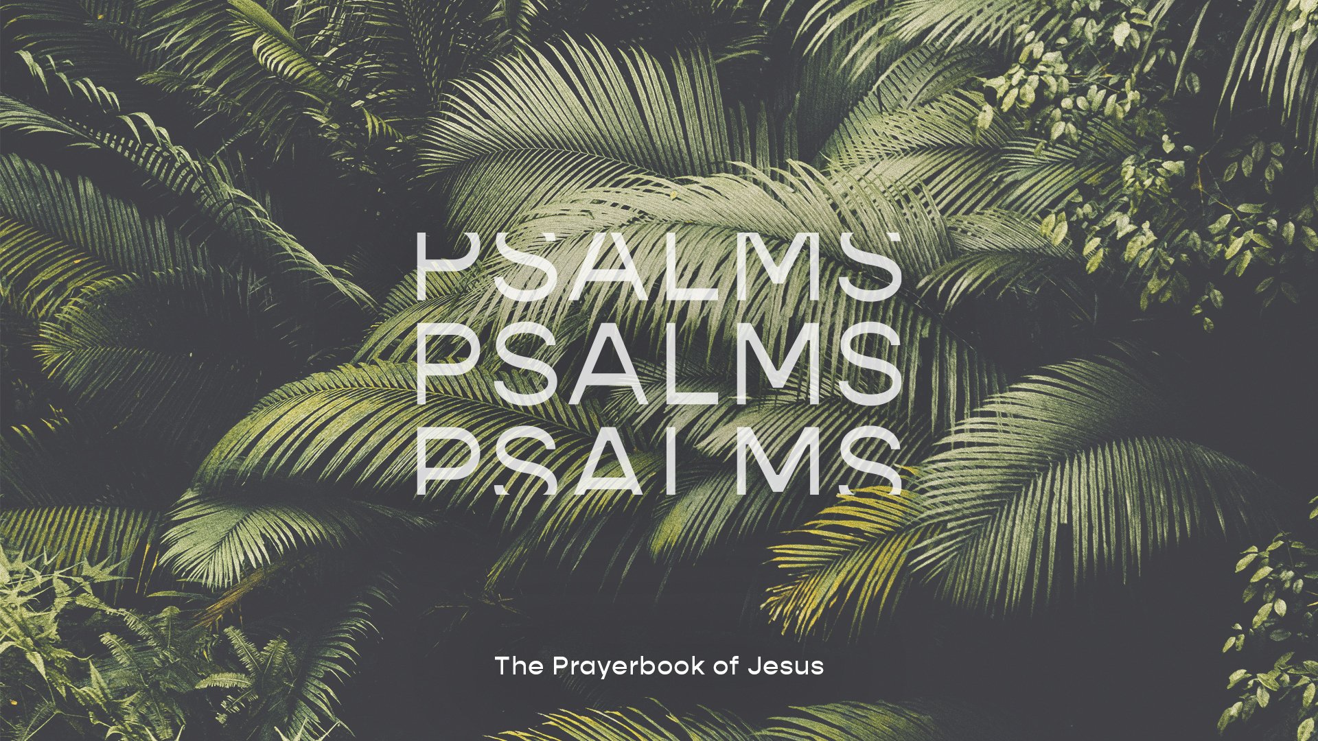 Psalms: Tools for Prayer “Why We Sing” - Eric Martinez