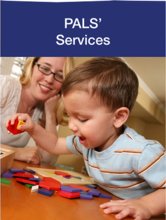 Screen Shot 2022-10-19 at 9.20.04 AM.png