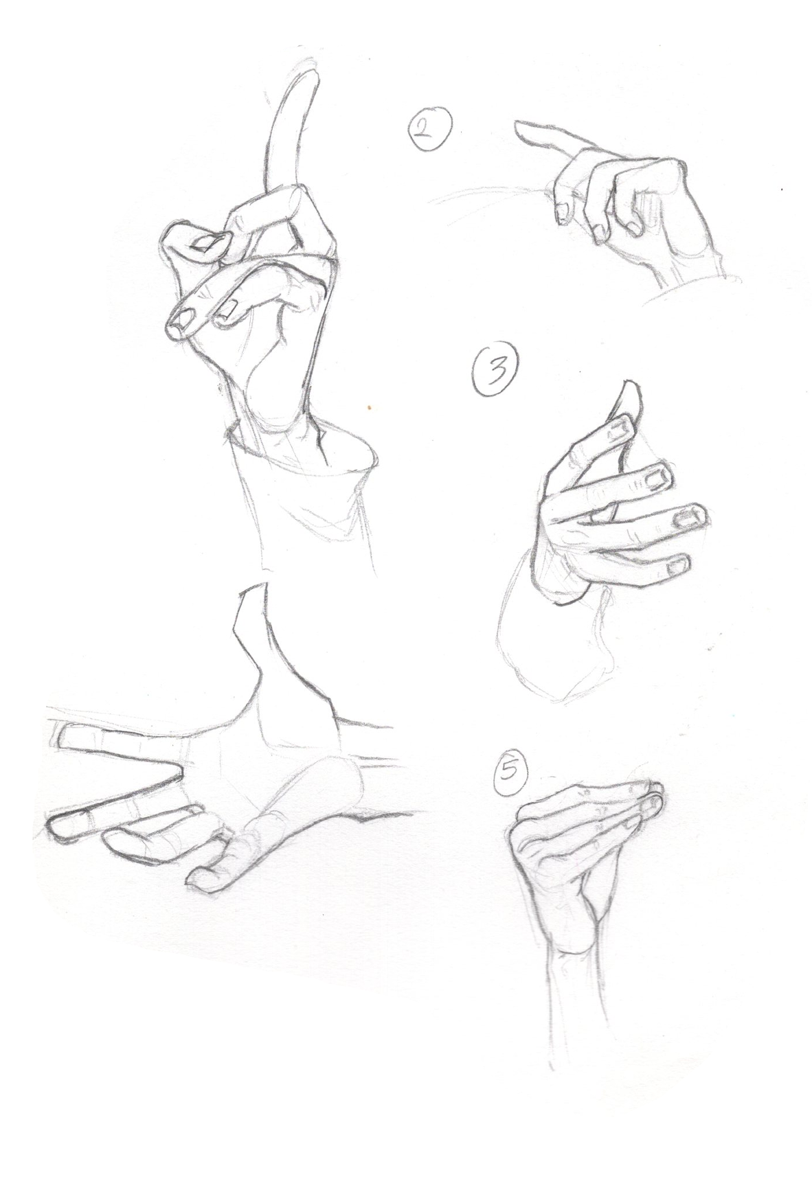 hand studeis 2.png