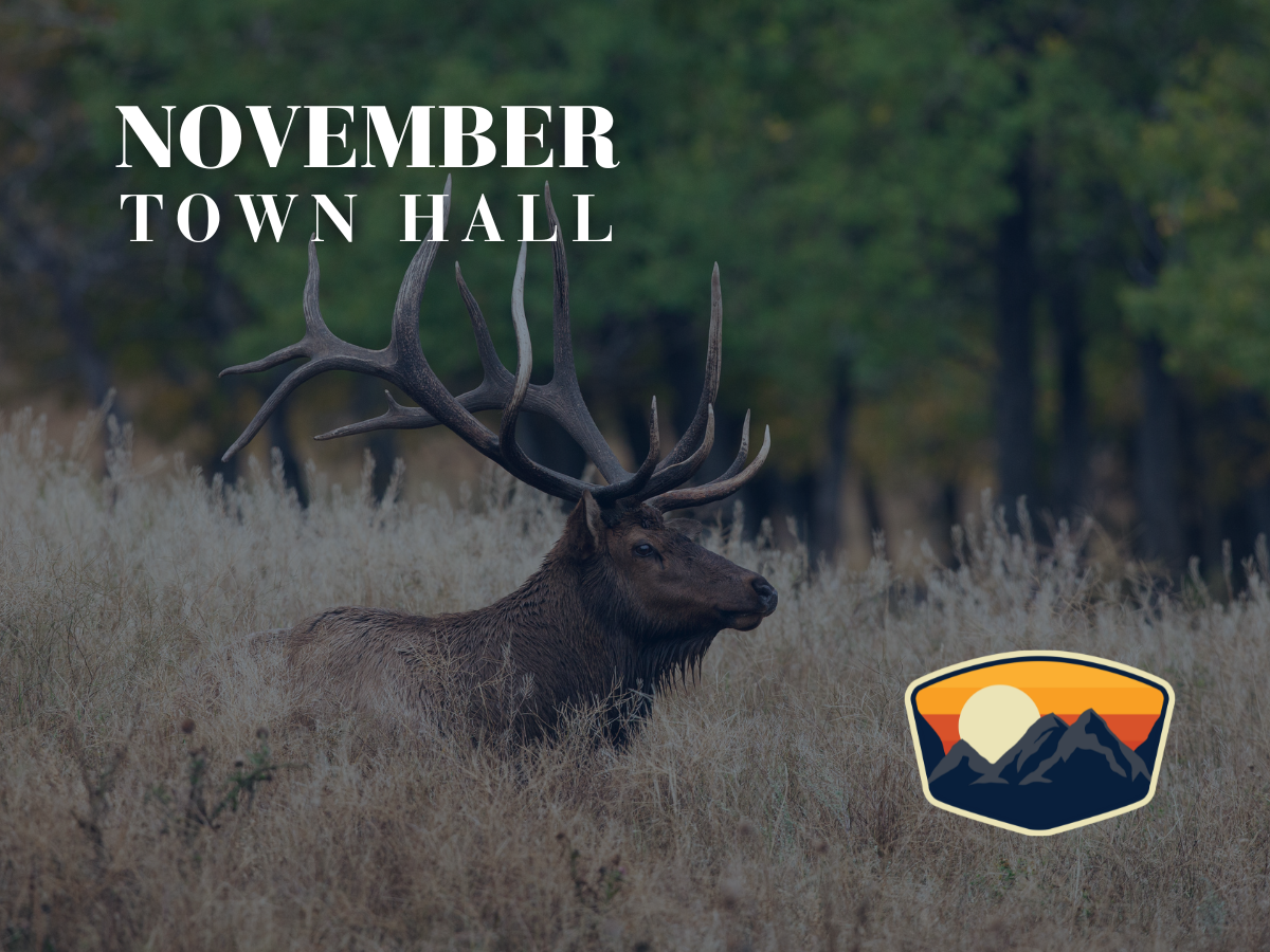 NOVEMBER TOWN HALL