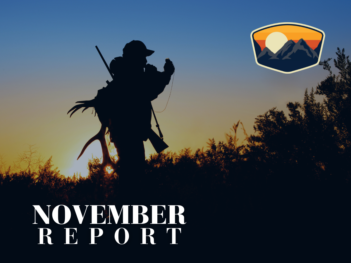 NOVEMBER REPORT