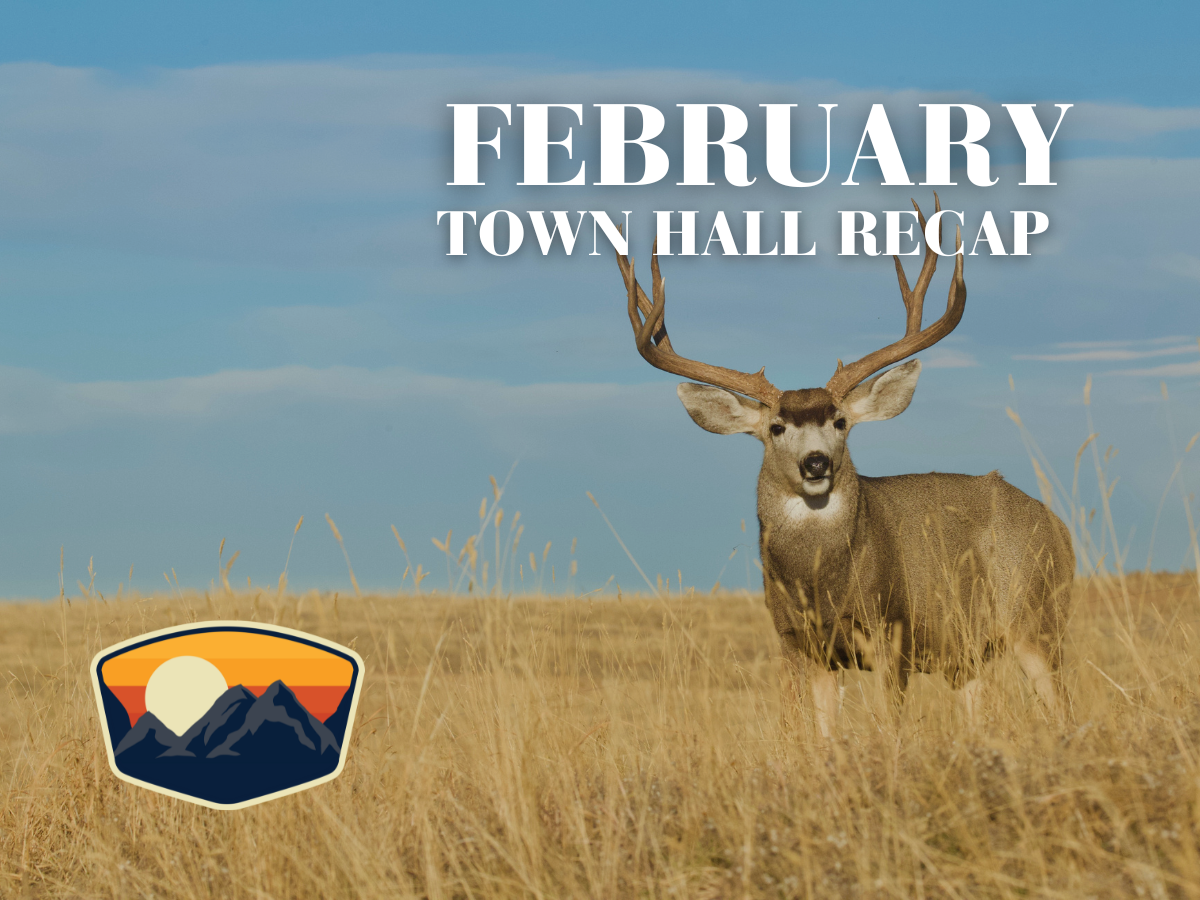 FEBRUARY TOWN HALL