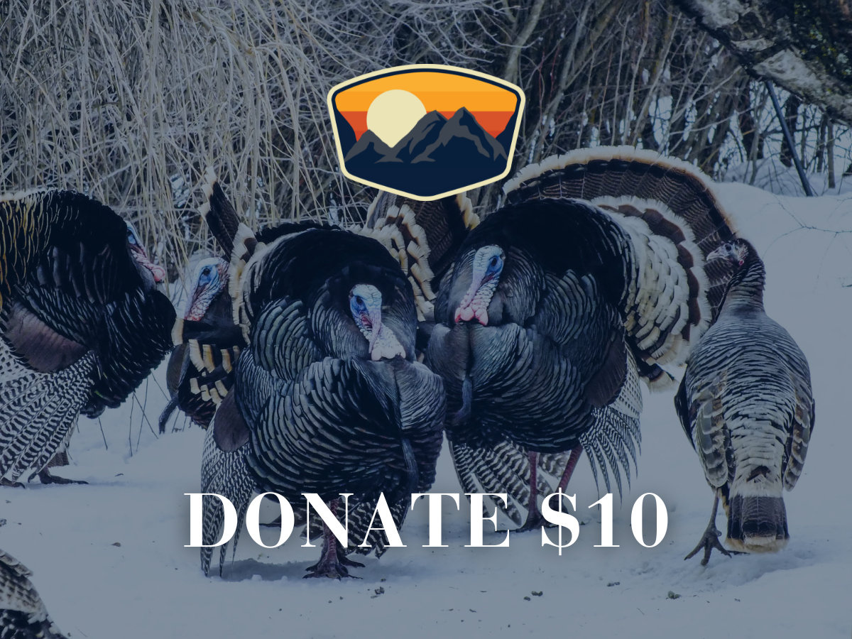 Donate $10
