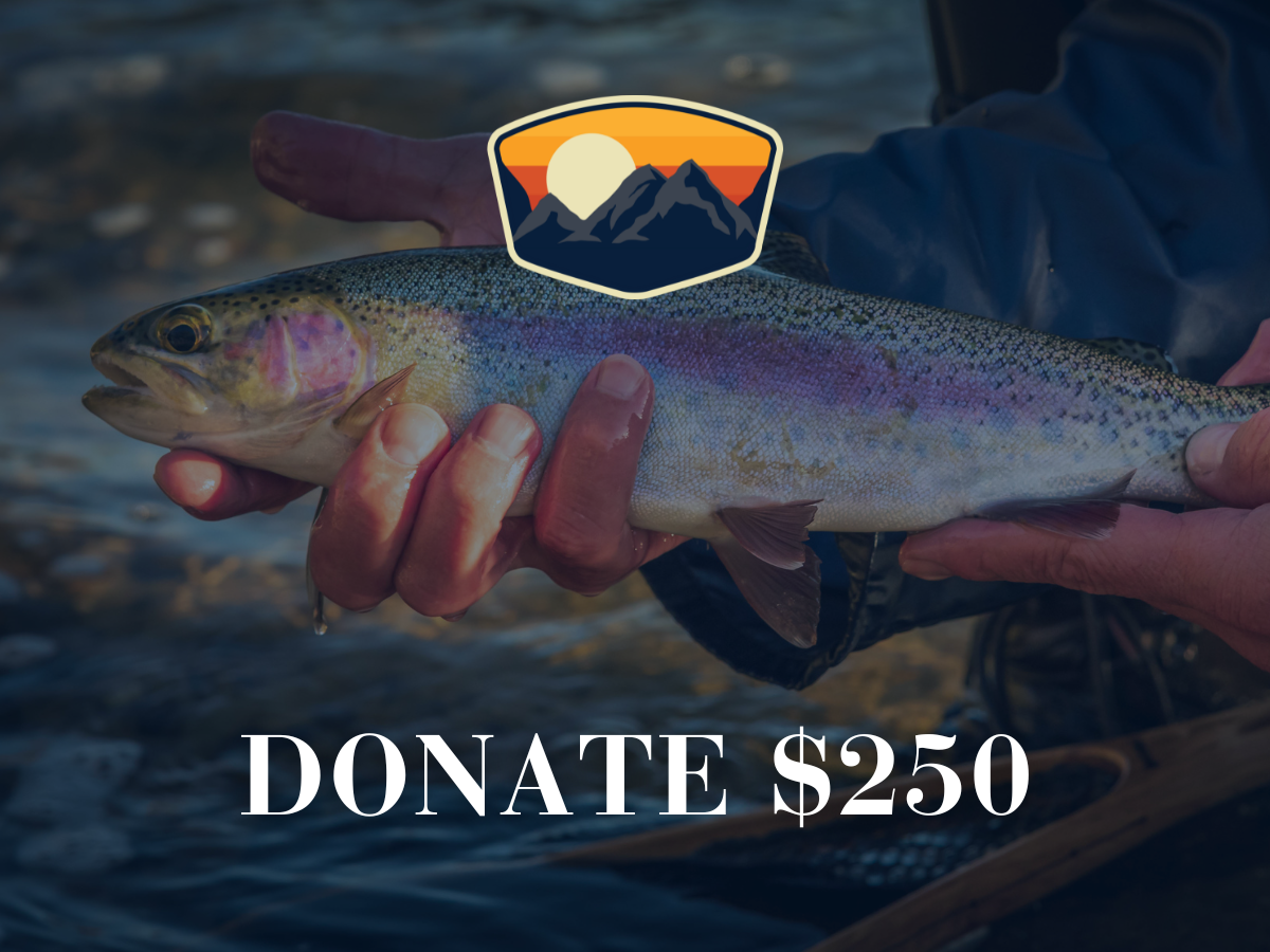 Donate $250