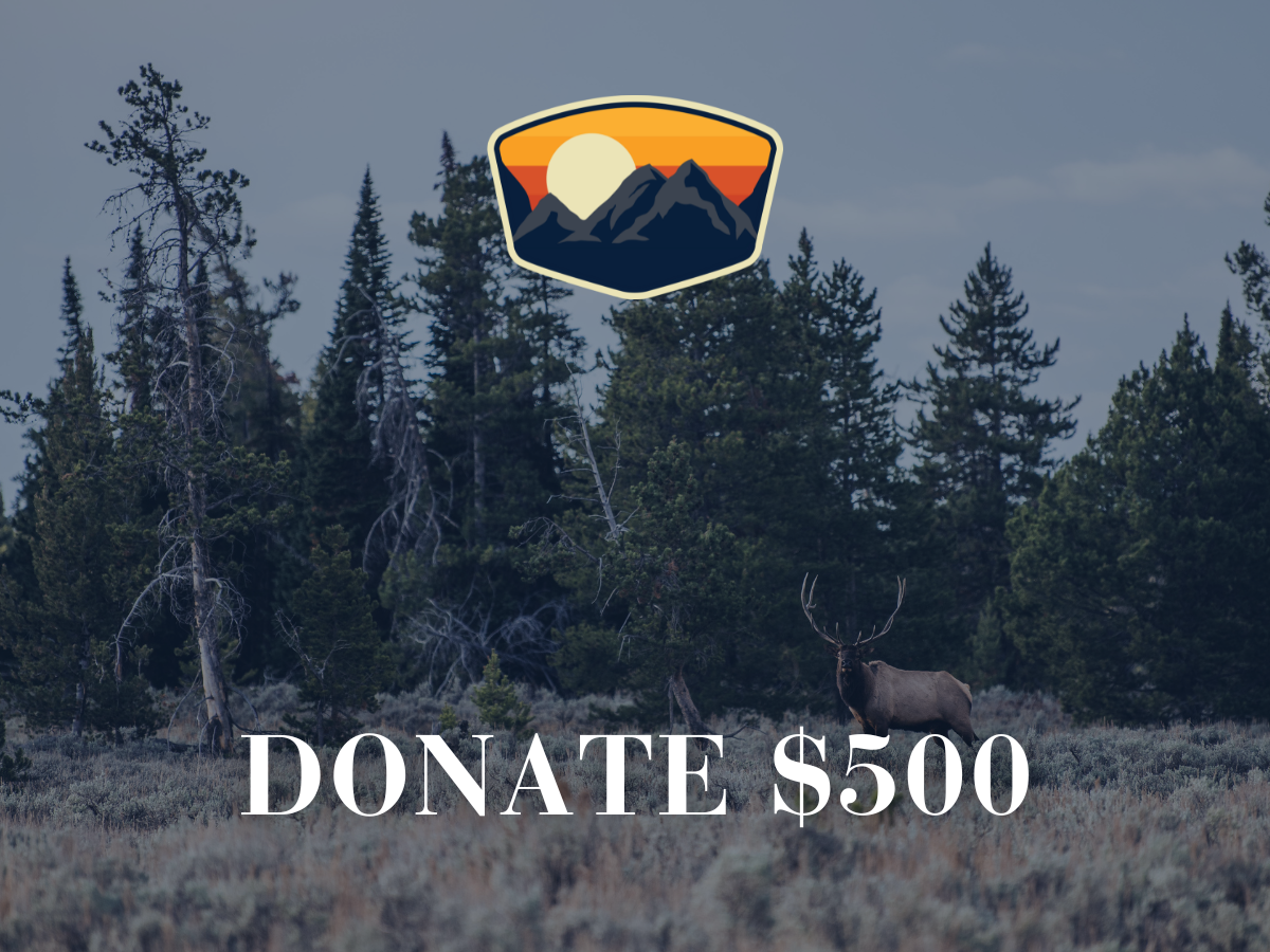 Donate $500