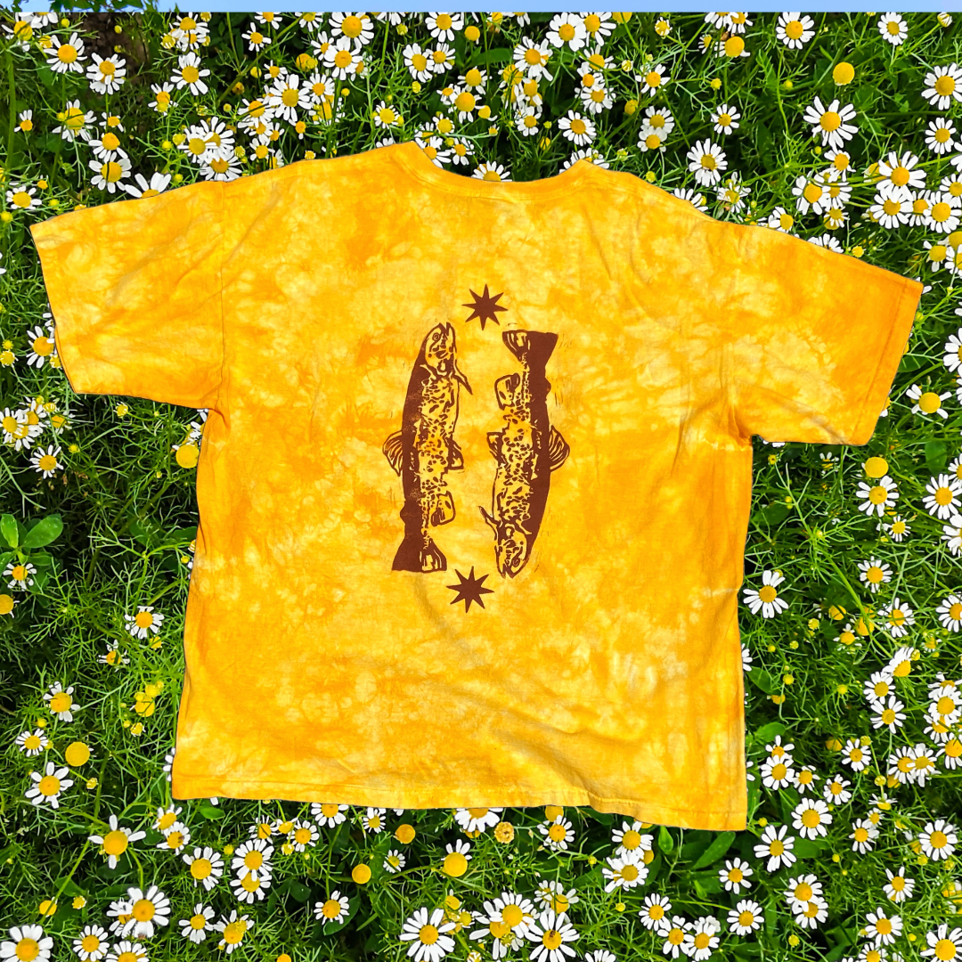 summer drop 2025 (6).png